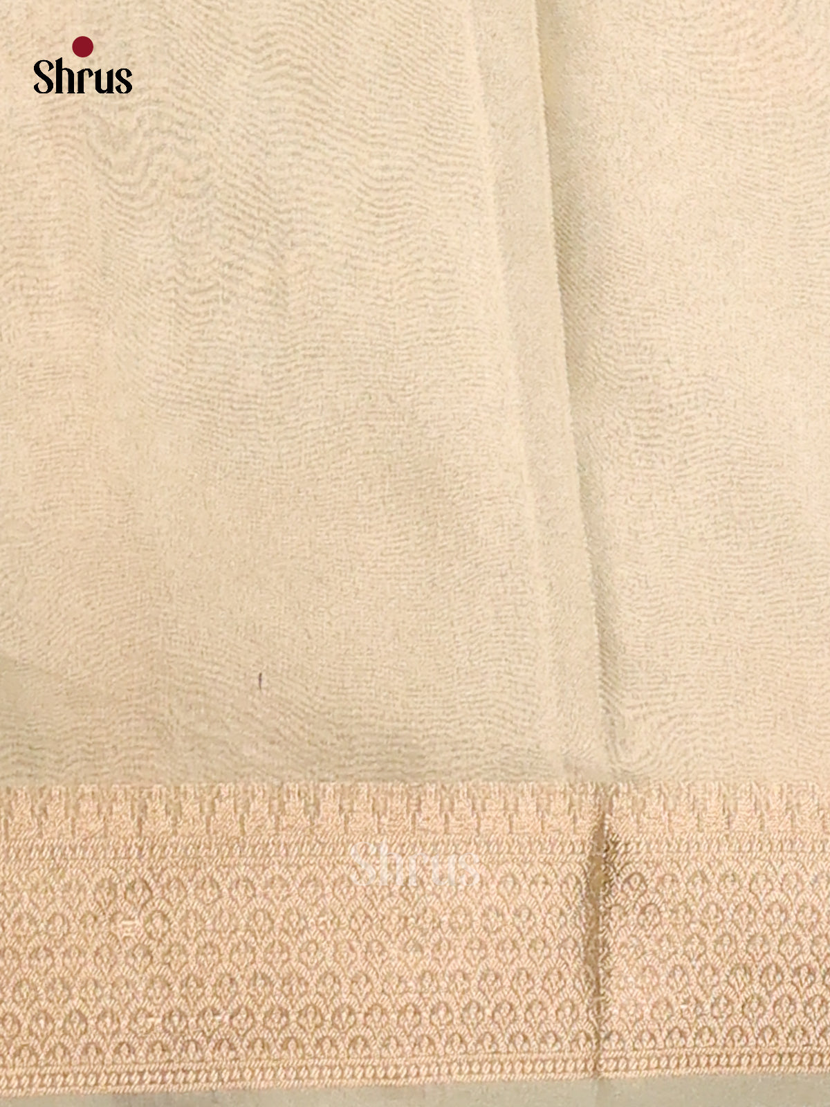 Mint Green - Semi Tissue saree - Shop on Shrus.com