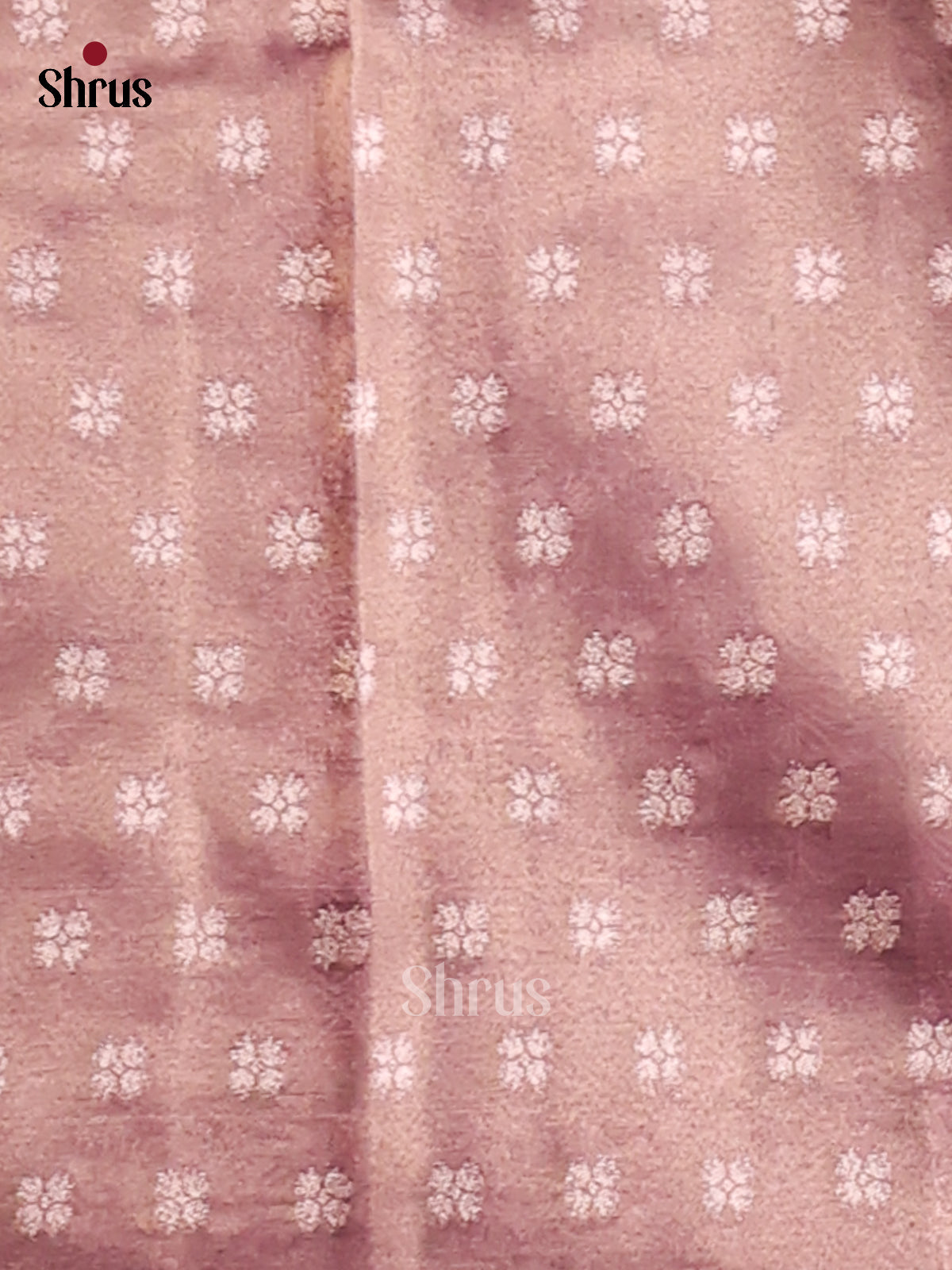 Purple- Tissue Saree - Shop on Shrus.com