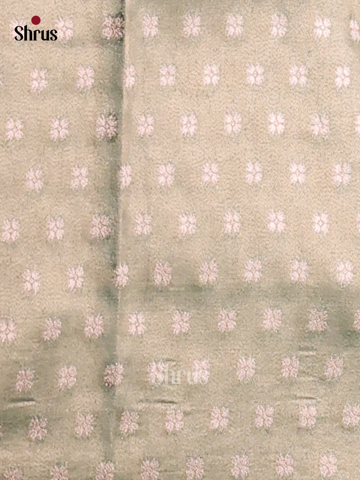 Green- Tissue Saree - Shop on Shrus.com