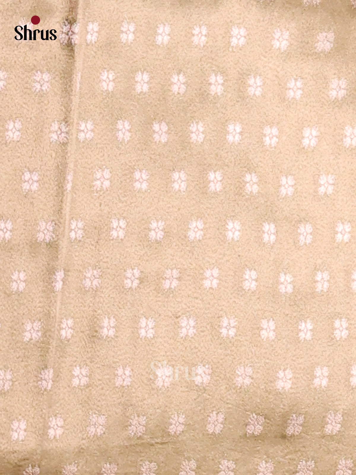 Green - Tissue Saree - Shop on Shrus.com