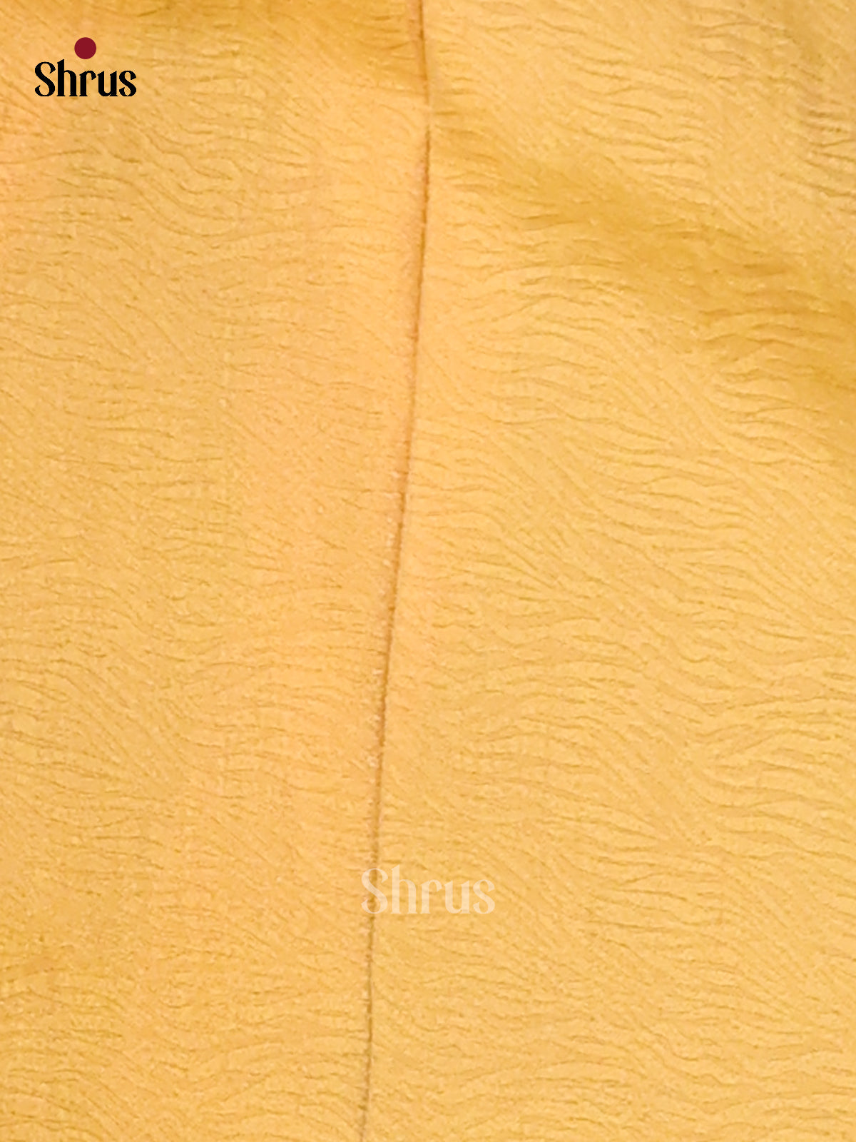 Mehandi Green- Tissue Saree - Shop on Shrus.com