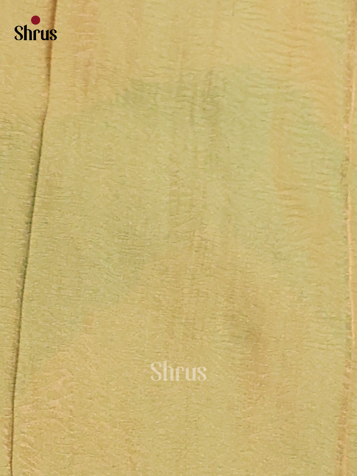 Green- Tissue Saree - Shop on Shrus.com