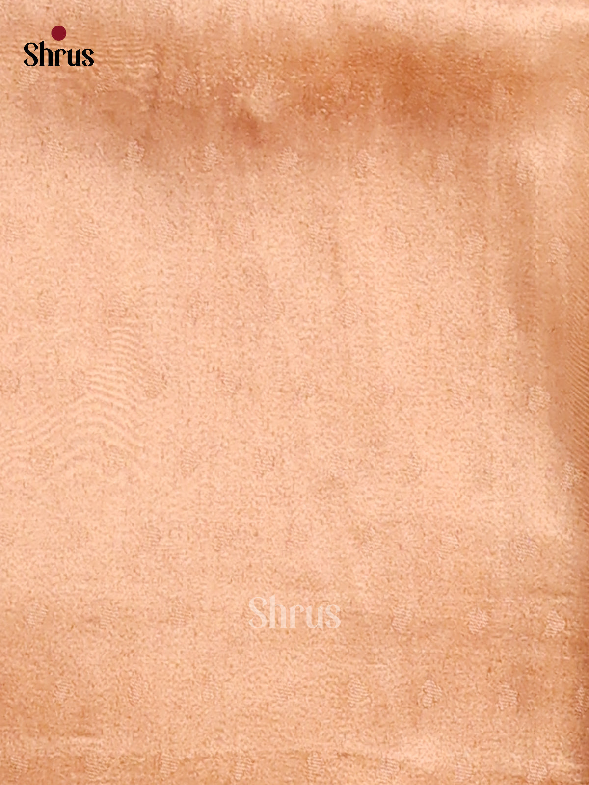 Cream and Brick - Tissue Saree - Shop on Shrus.com