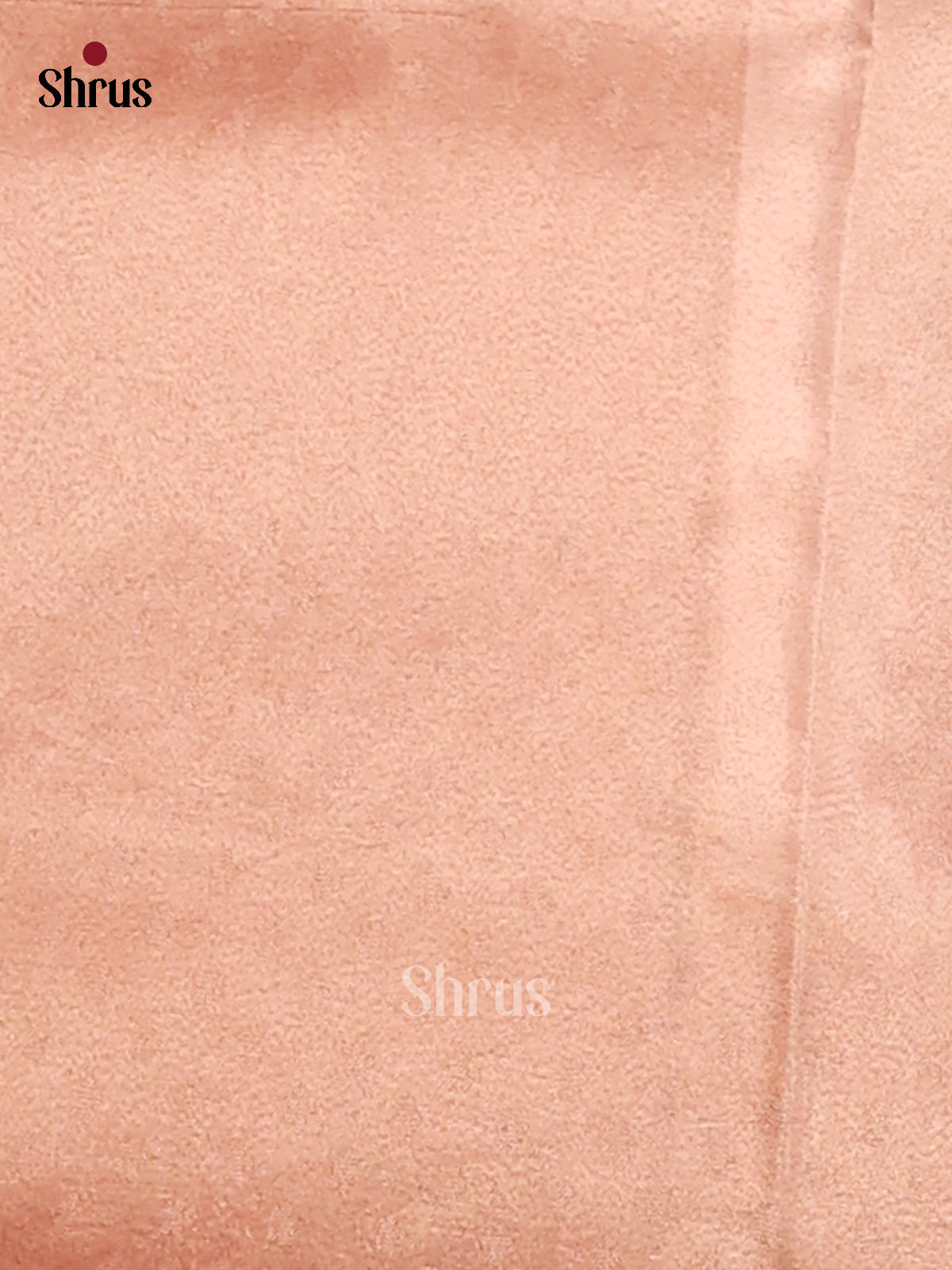 Cream and brown- Tissue Saree - Shop on Shrus.com