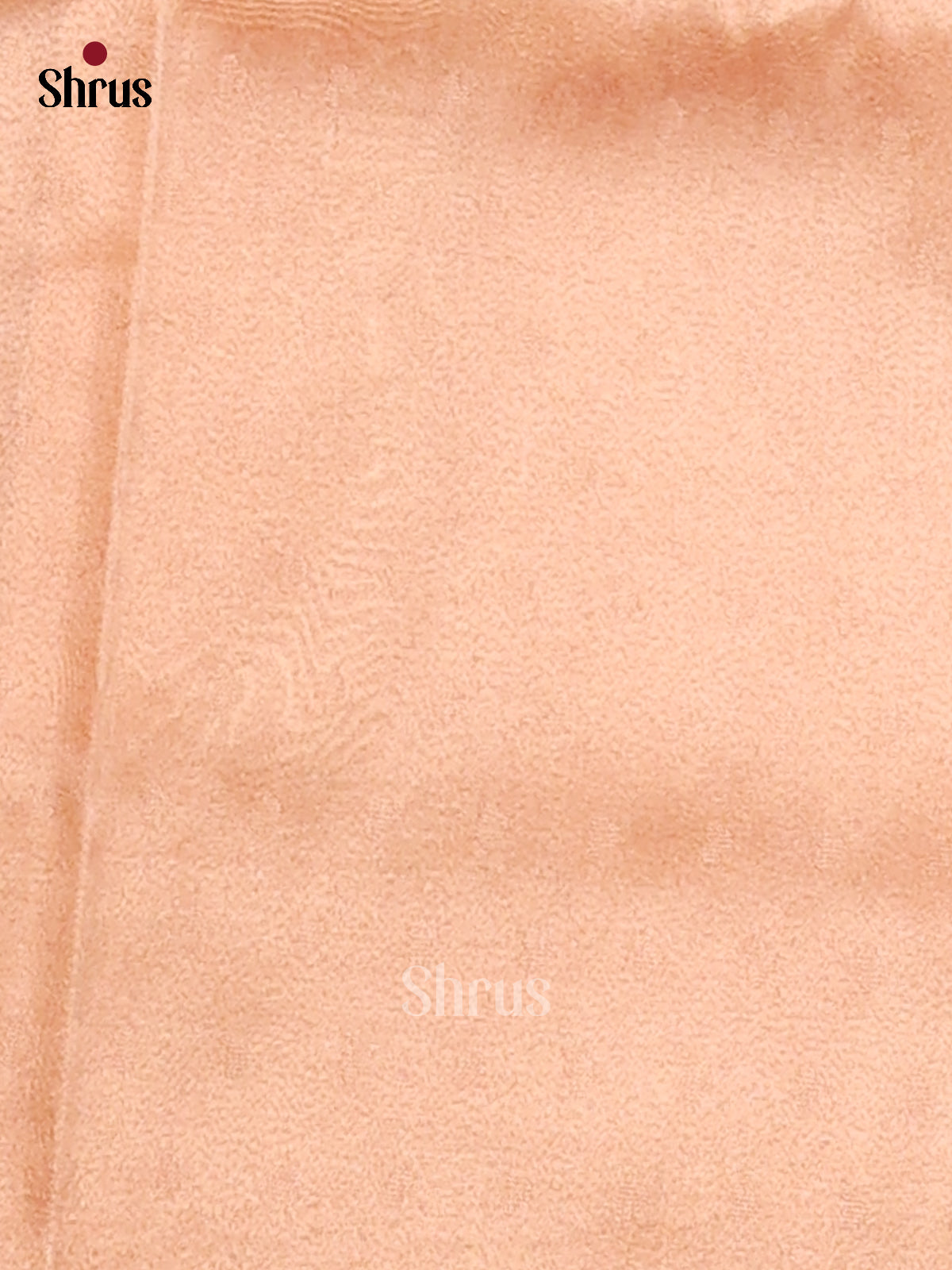 DFS04419- Tissue Saree - Shop on Shrus.com