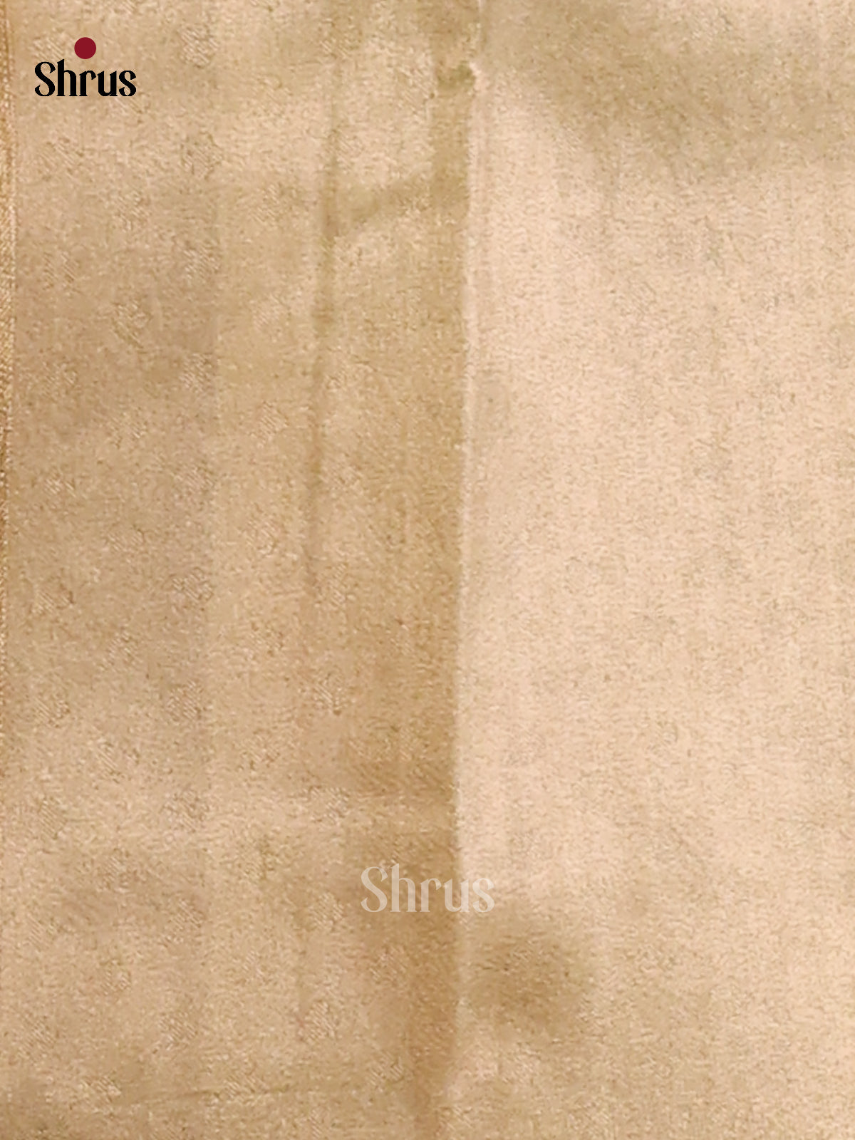 Green- Tissue Saree - Shop on Shrus.com
