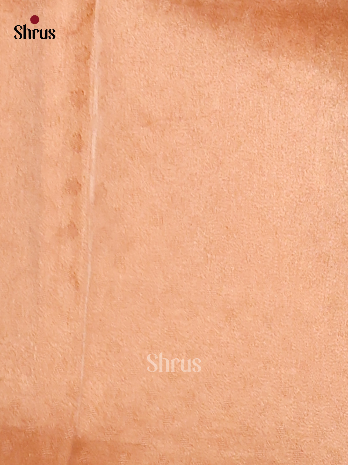 Cream and Brick - Tissue Saree - Shop on Shrus.com