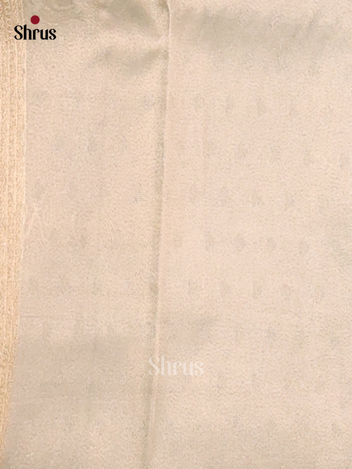 Blue - Tissue Saree - Shop on Shrus.com