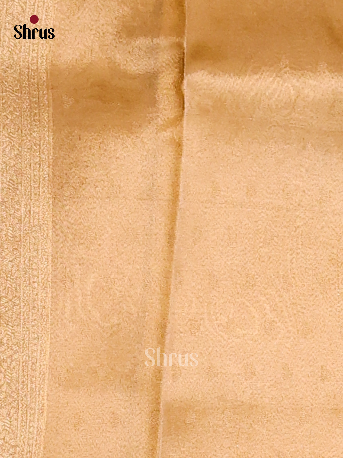 Cream & Mustard- Tissue Saree - Shop on Shrus.com