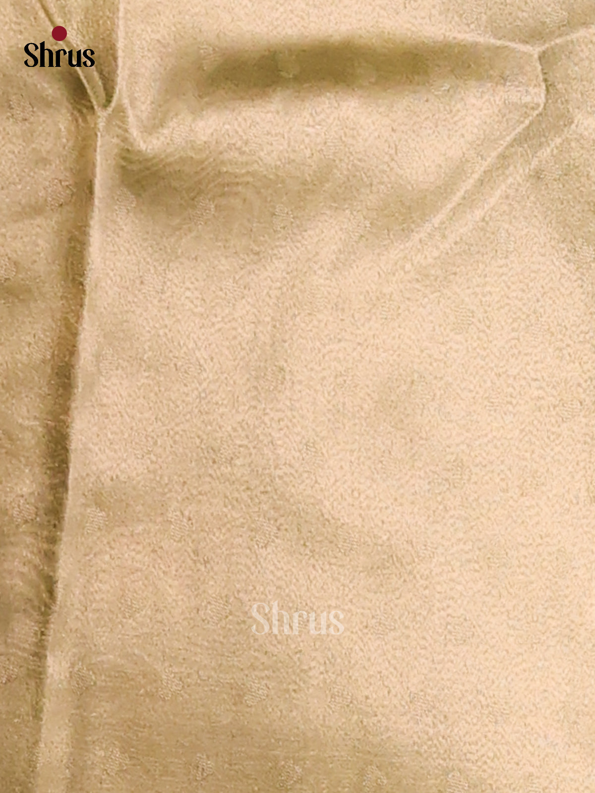 DFS04430- Tissue Saree - Shop on Shrus.com