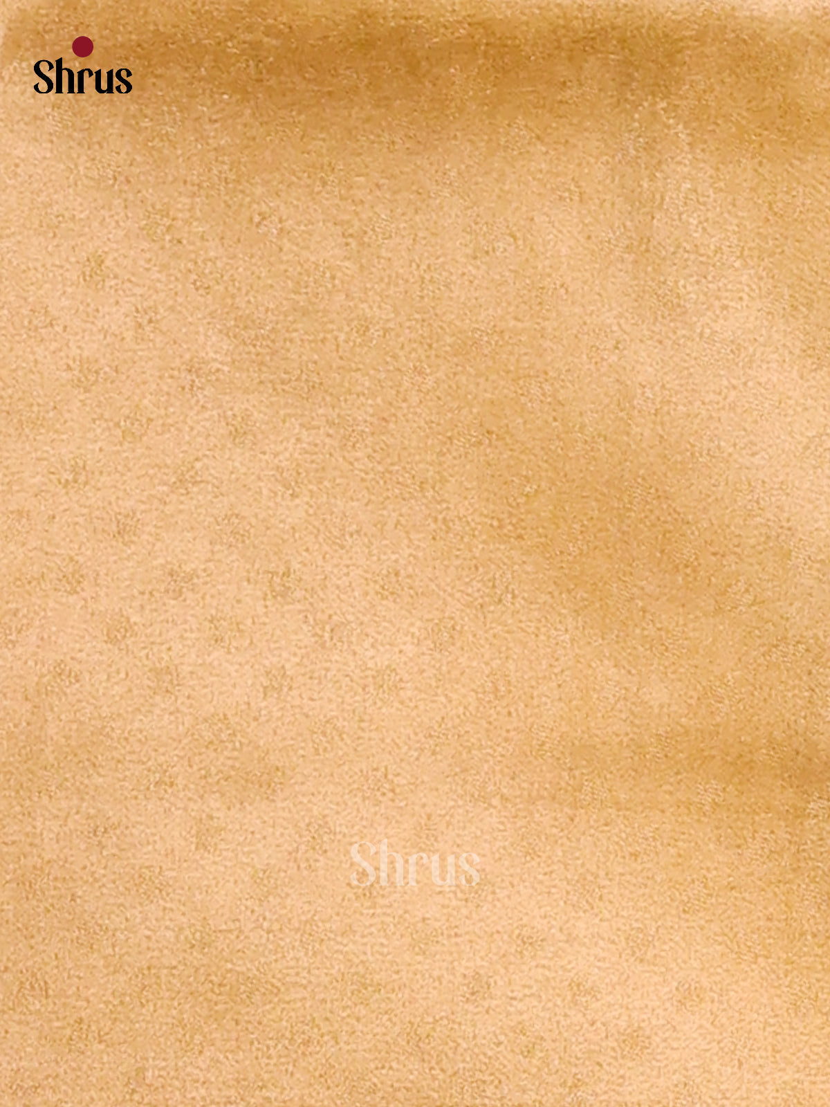 DFS04432- Tissue Saree - Shop on Shrus.com