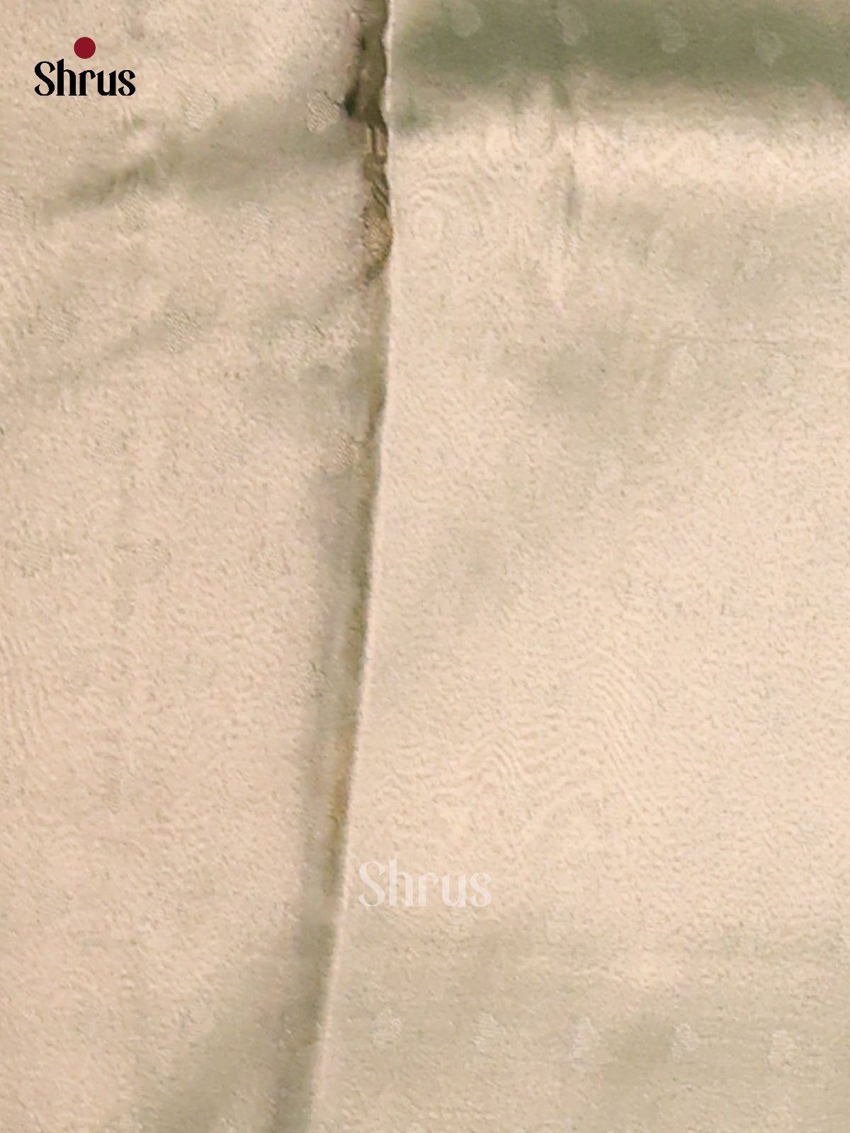 DFS04433- Tissue Saree - Shop on Shrus.com