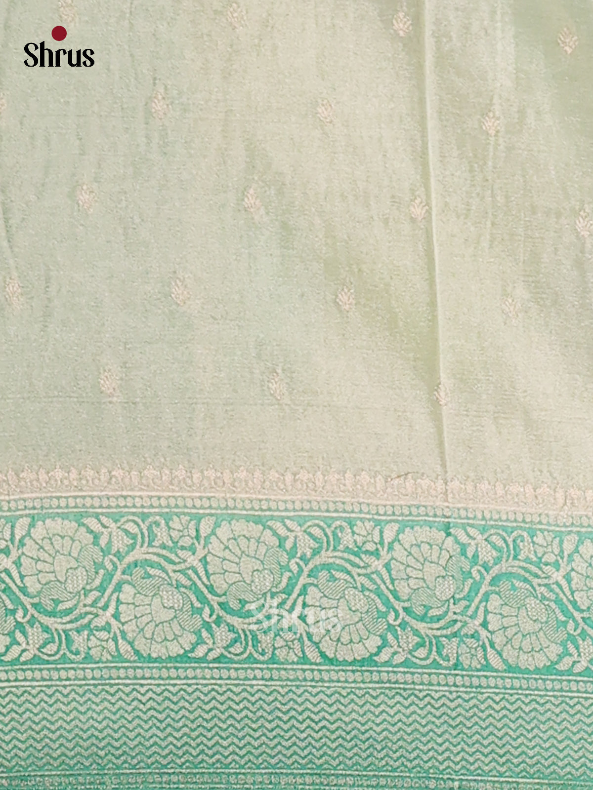 Cream & Green - Semi Georgette saree - Shop on Shrus.com