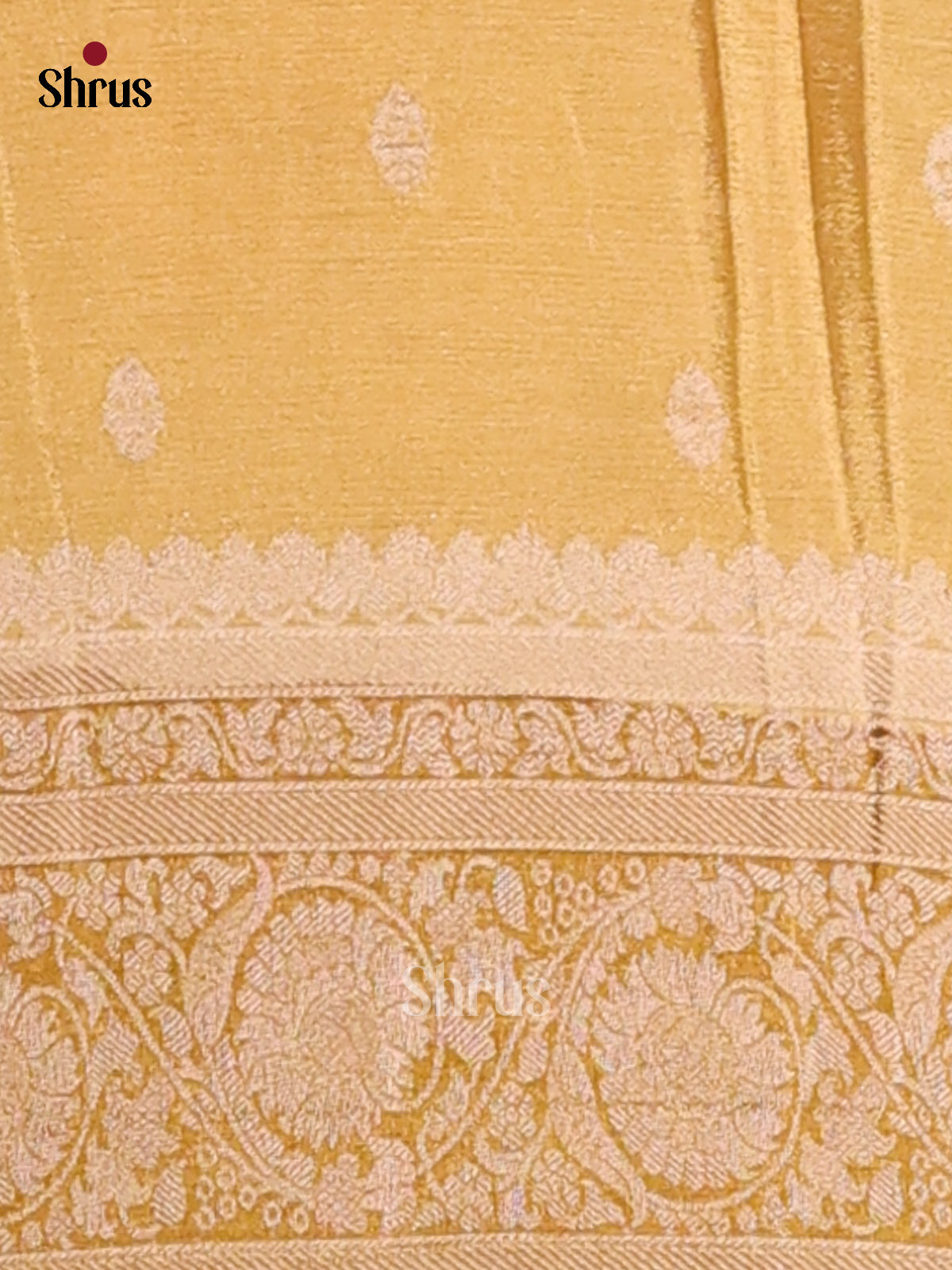 Beige & Green- Semi Georgette Saree - Shop on Shrus.com