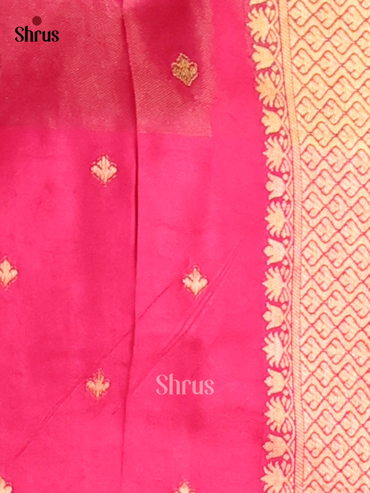 DFS05078 - Shop on Shrus.com