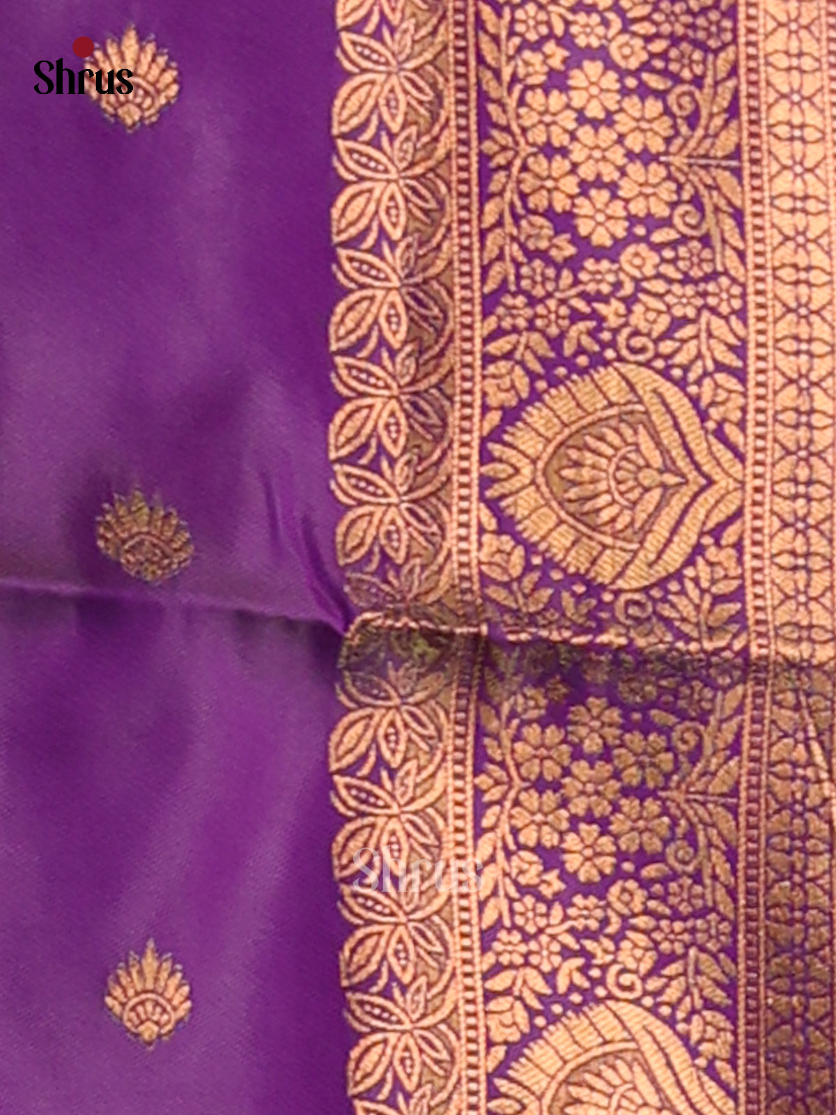 Blue & Violet - Semi Softsilk Saree - Shop on Shrus.com