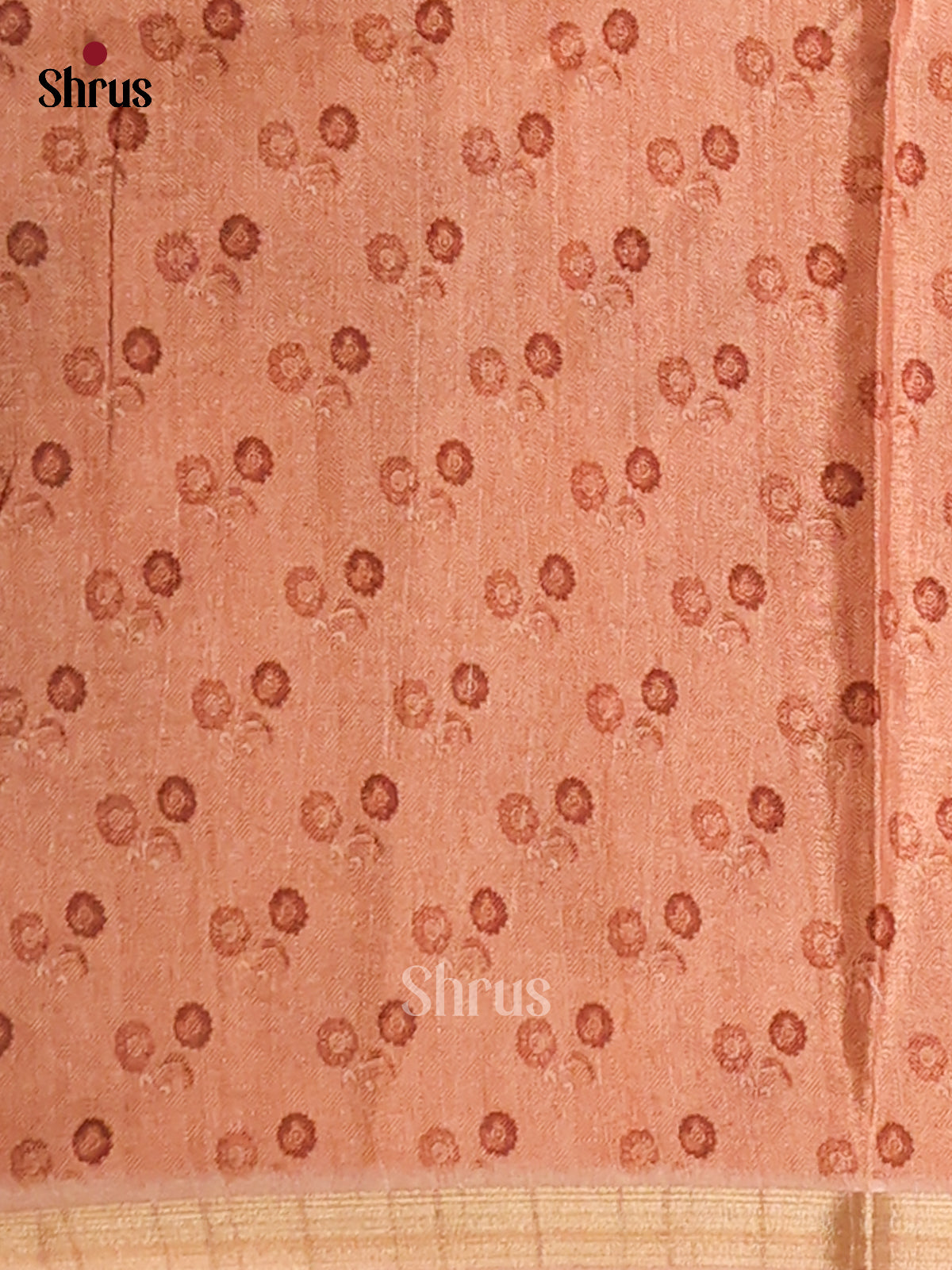 Cream & Brown - Semi Matka Saree - Shop on Shrus.com