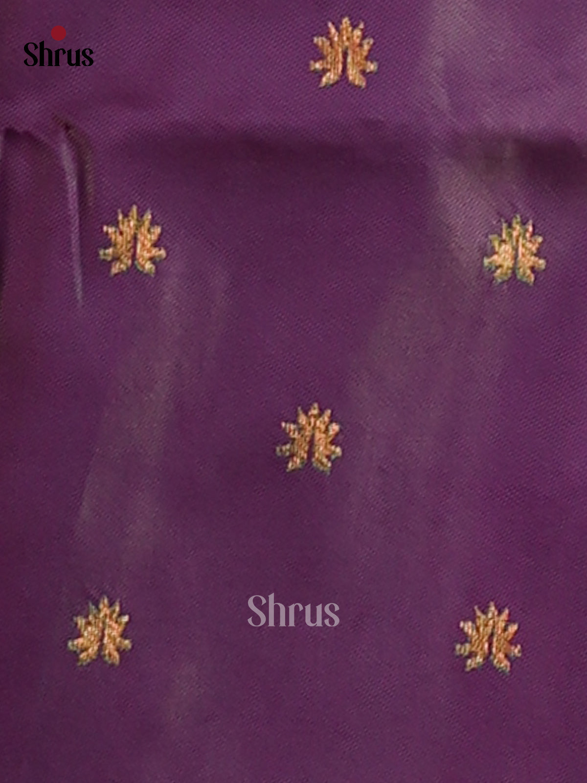 DFS05306- Semi Softsilk Saree - Shop on Shrus.com