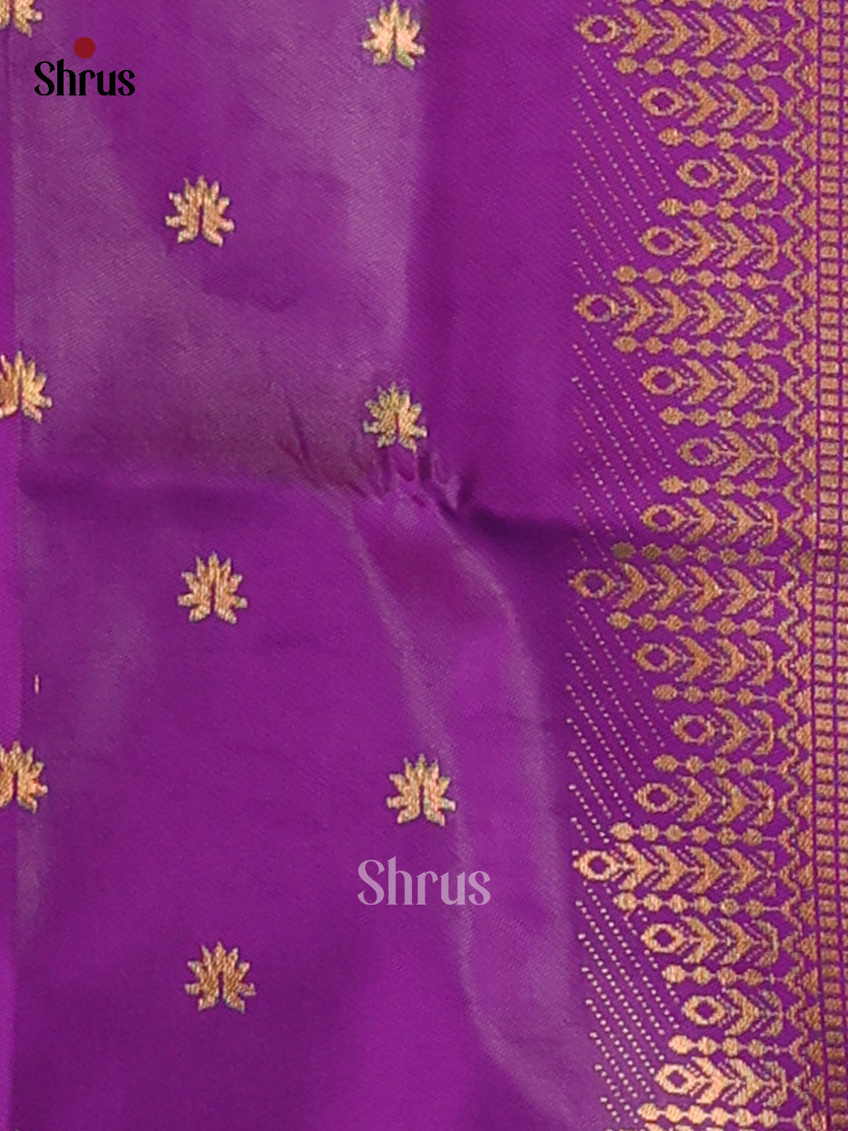 DFS05310 - Semi Softsilk saree - Shop on Shrus.com