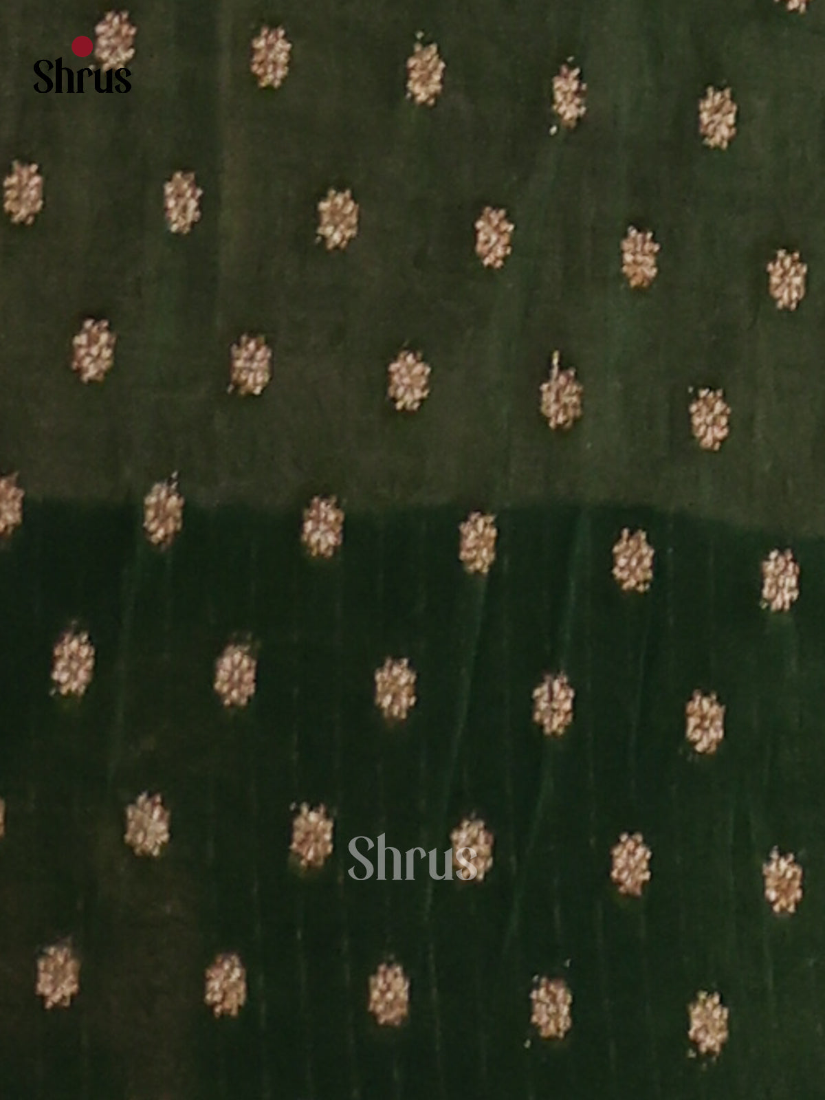 Beige & Green - Semi Georgette Saree - Shop on Shrus.com