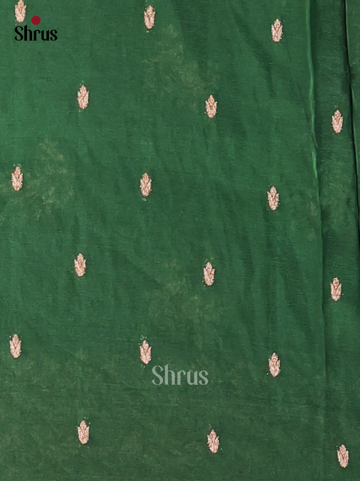 Bottle Green(Single Tone) - Semi Georgette Saree - Shop on Shrus.com