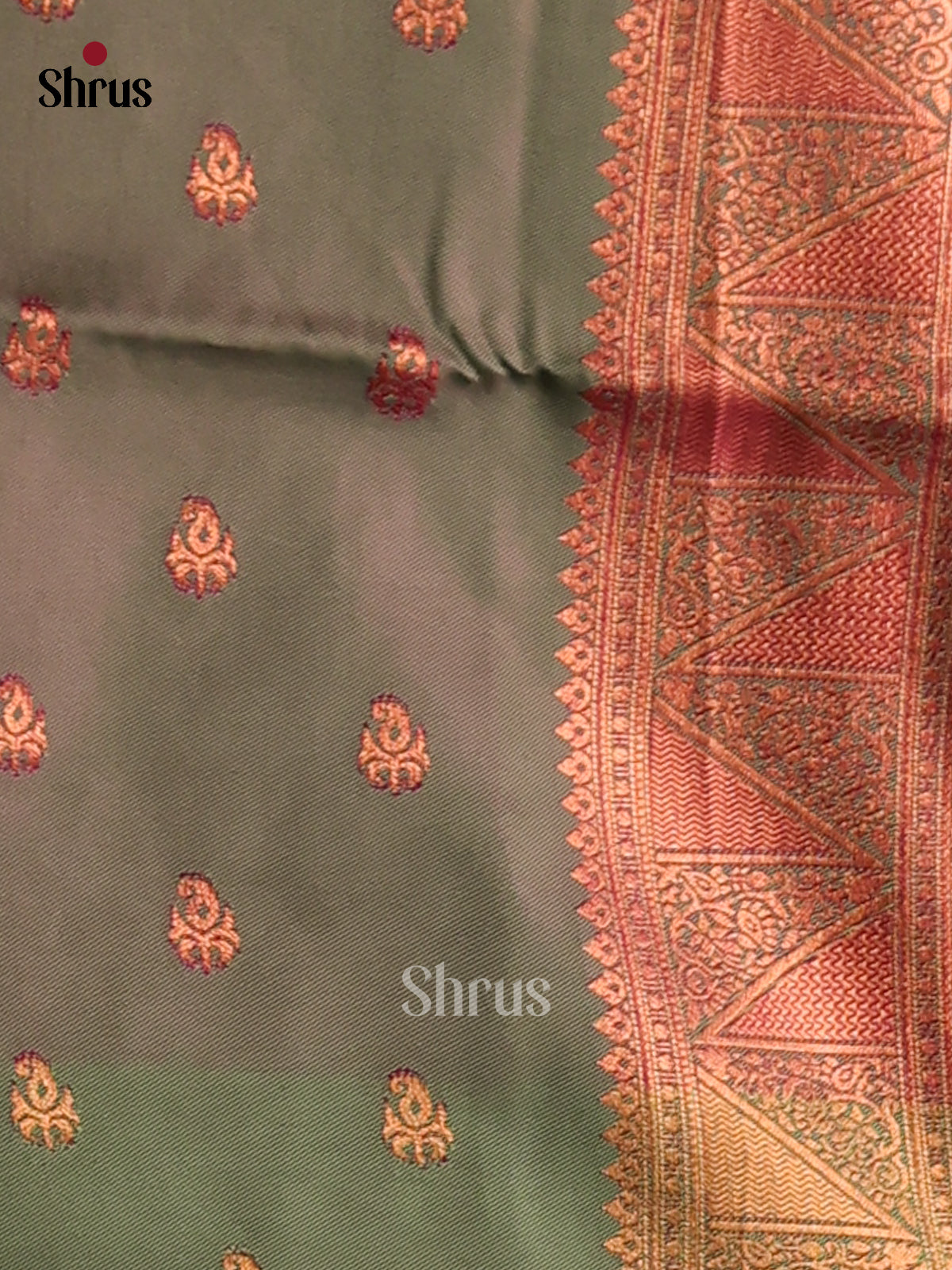 Majenta & Green - Semi Softsilk Saree - Shop on Shrus.com