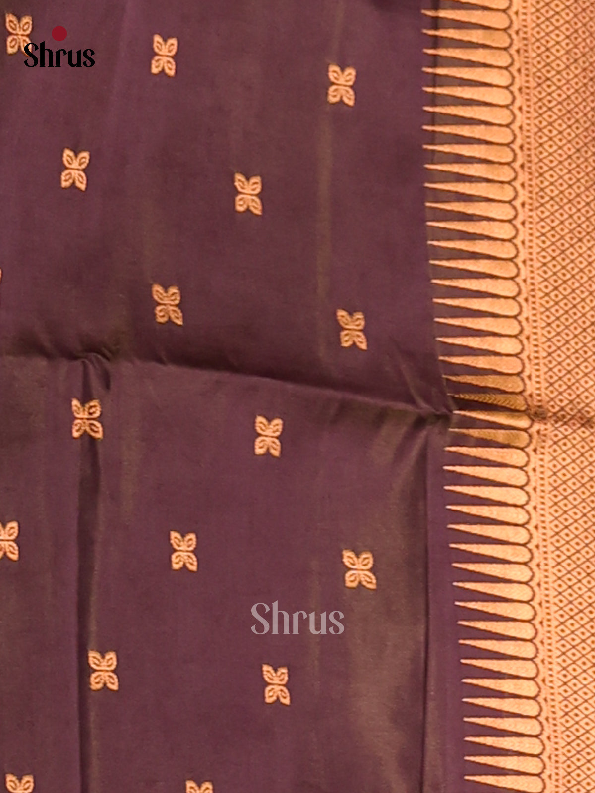 Light Green & Brown- Semi Softsilk Saree - Shop on Shrus.com