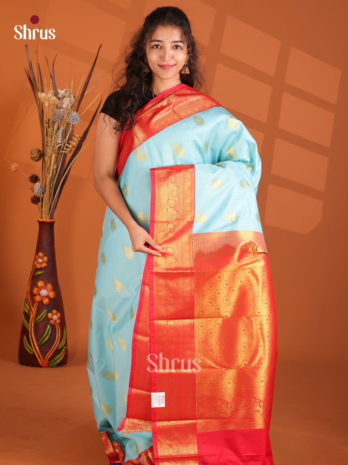 Light Blue & Red - Korvai Semi Kanchipuram Saree - Shop on Shrus.com
