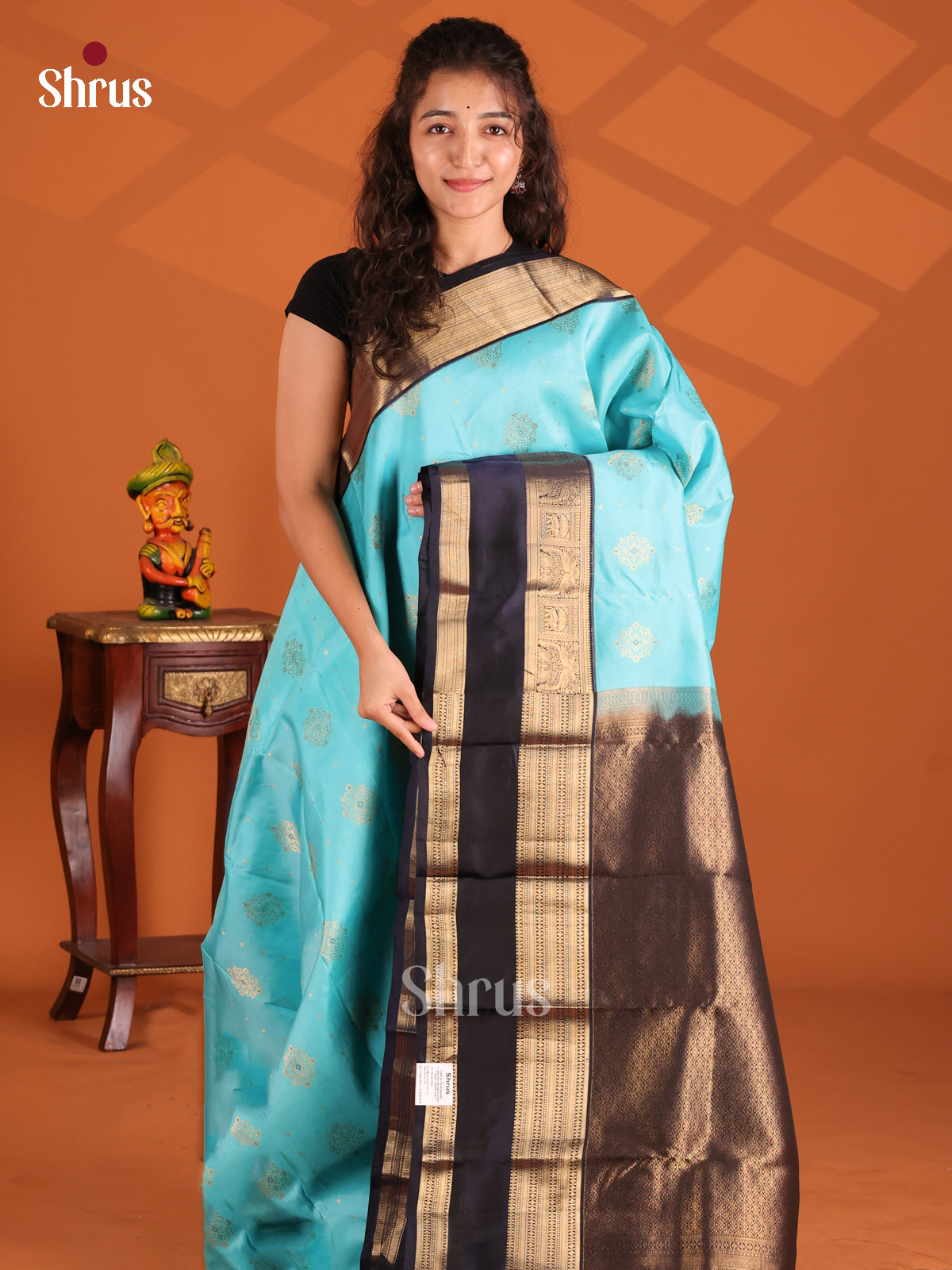 Pastel Blue & Navy Blue - Kanchipuram-halfpure Saree
