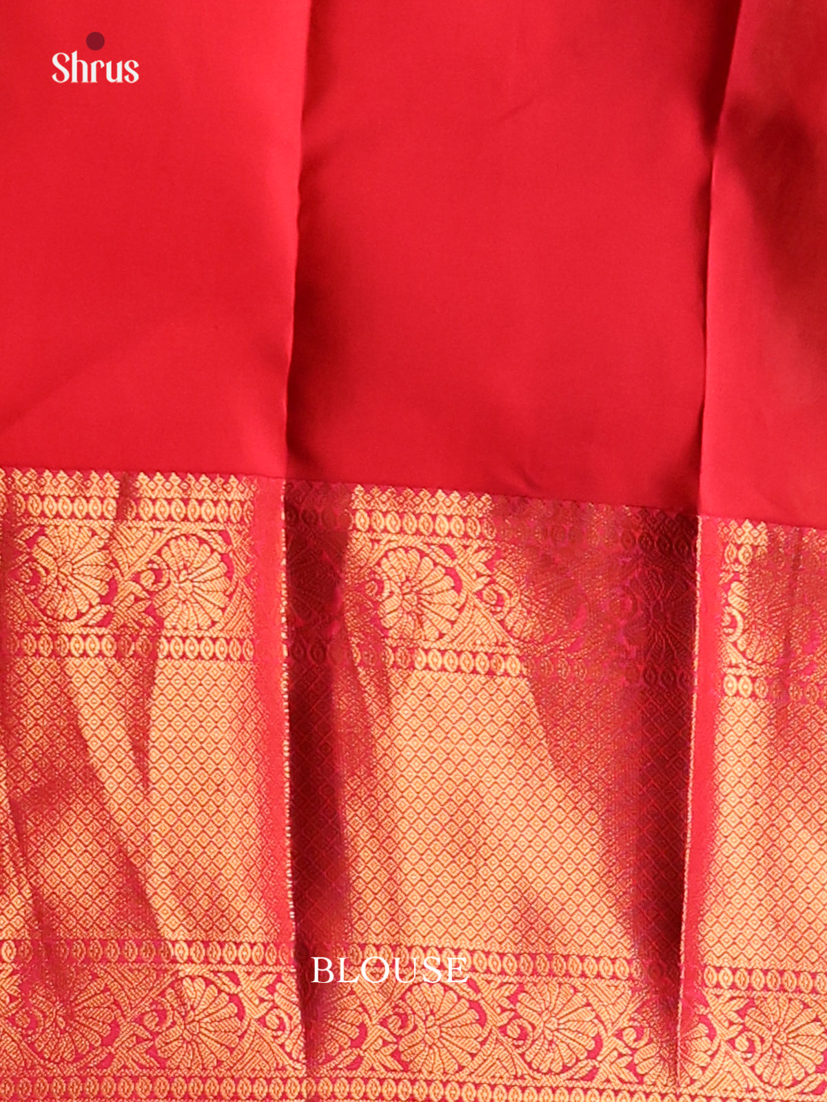 Sky Blue & Red - Kanchipuram-halfpure Saree