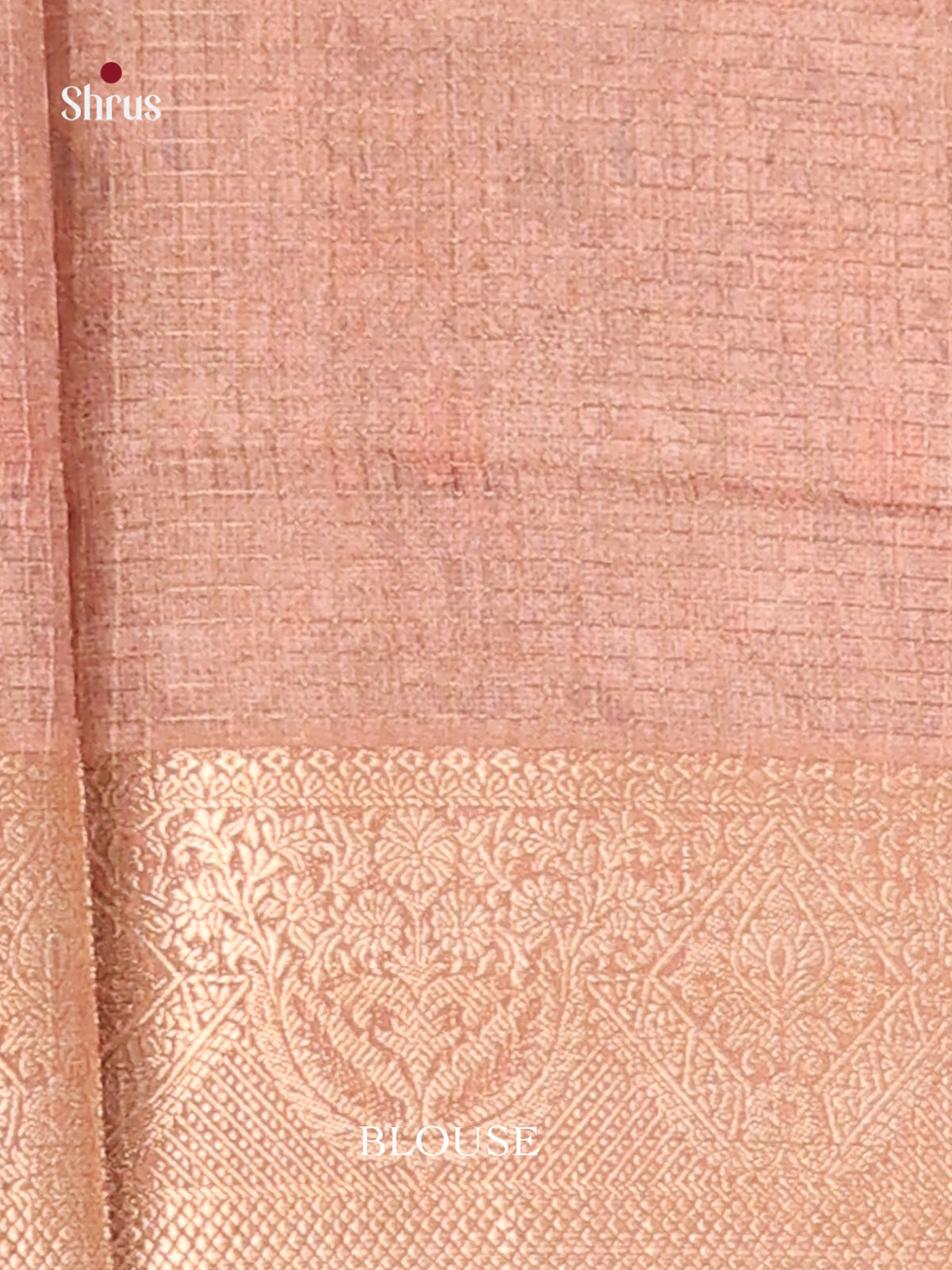 Cream & Lite Brown - Semi Dola silk Saree
