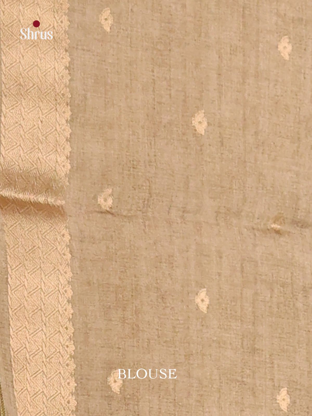 Dusty Brown & Grey - Semi Tussar Saree - Shop on Shrus.com