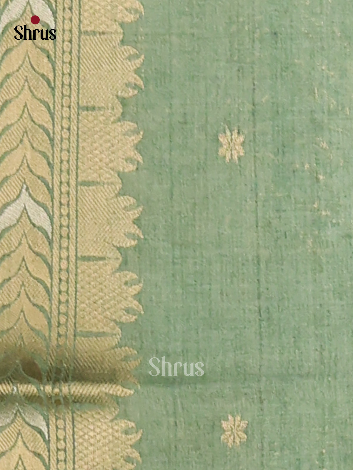 Blue & Green- Semi Tussar Saree