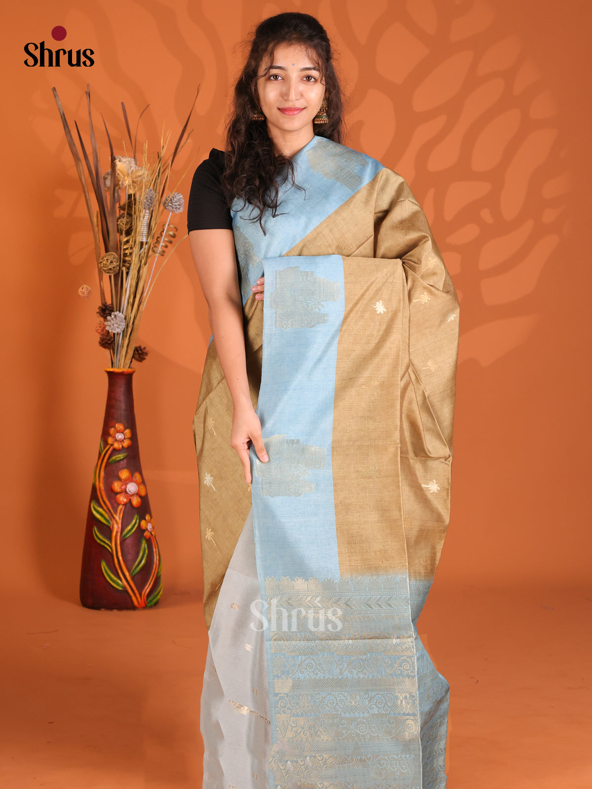 Chikoo & Blue - Semi Tussar Saree