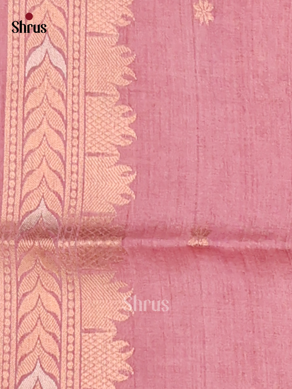 Pastel Green & Purple - Semi Tussar Saree - Shop on Shrus.com