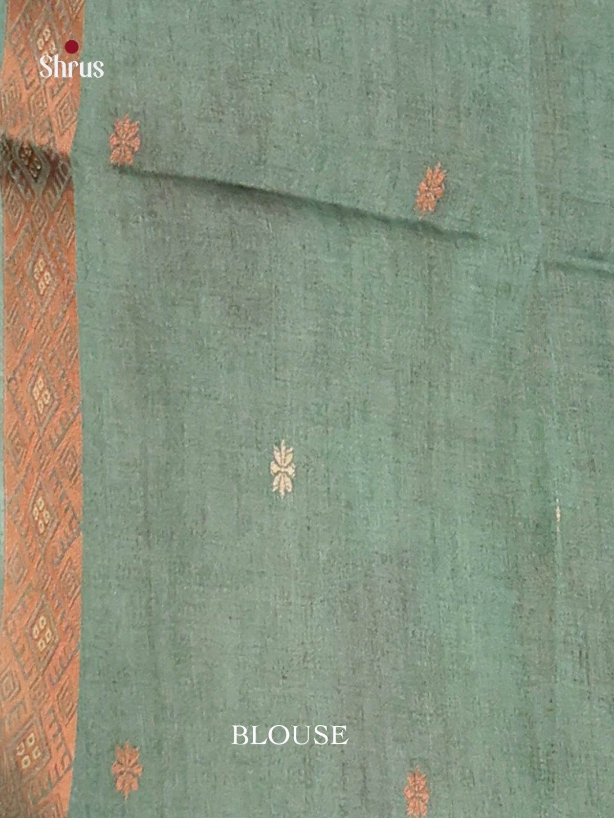 Pastel green - Semi Tussar Saree