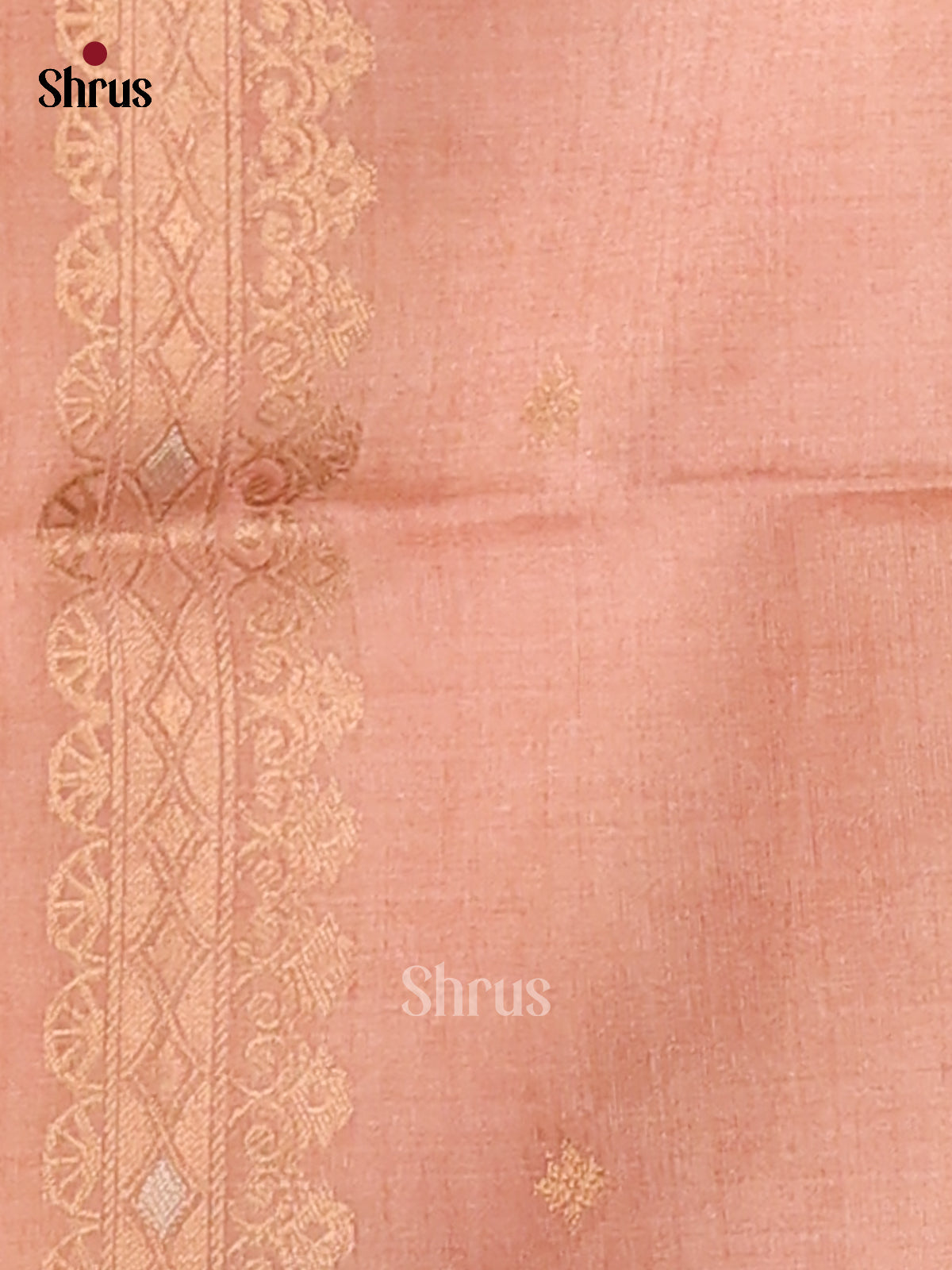 Chikoo & Brown - Semi Tussar Saree