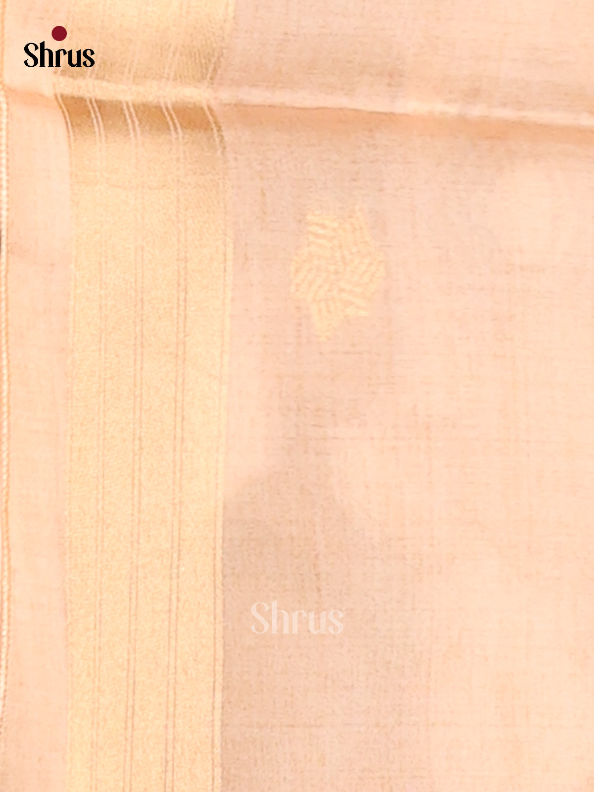 Chikoo- Semi Tussar Saree