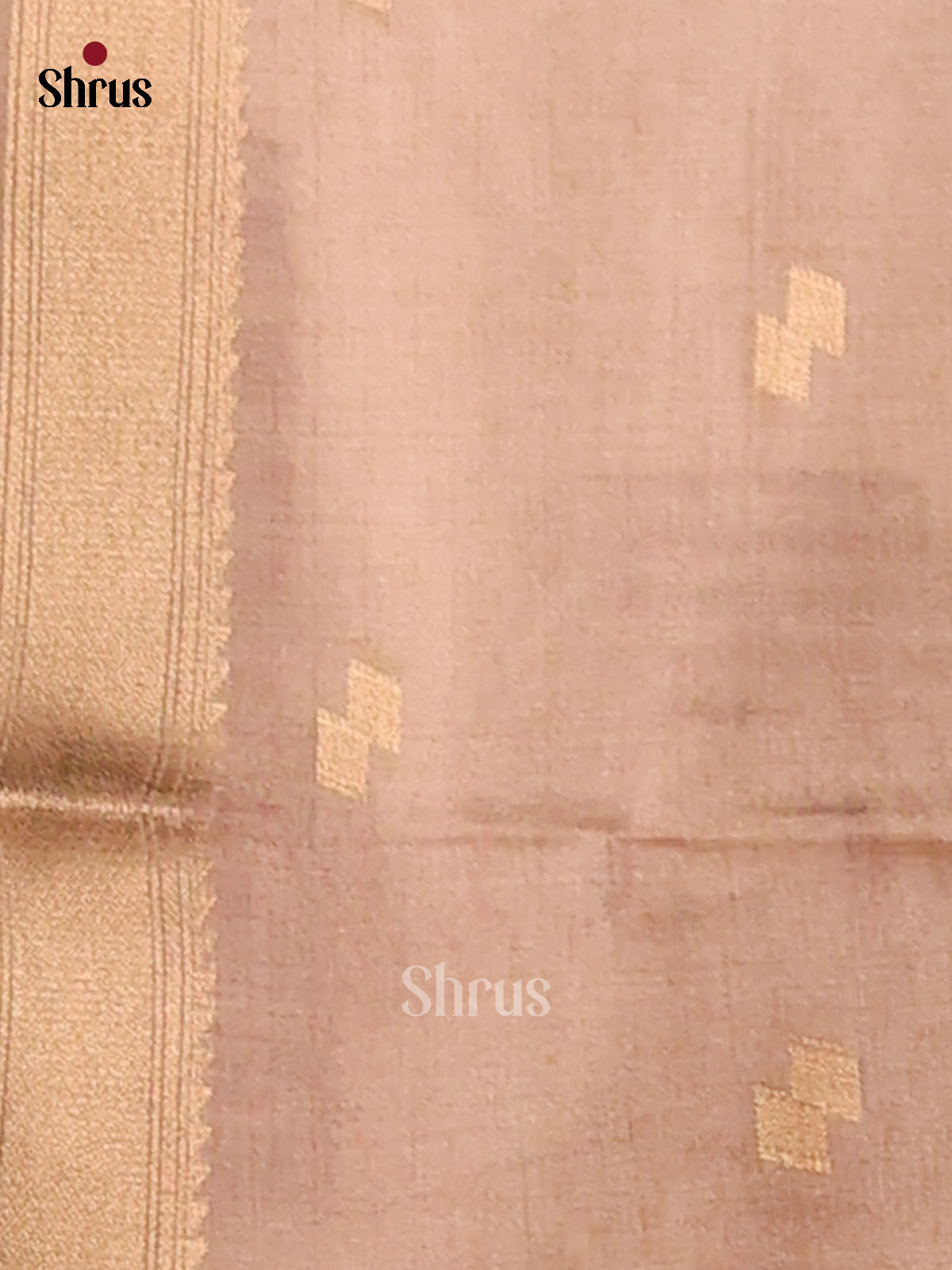 Grey - Semi Tussar Saree - Shop on Shrus.com
