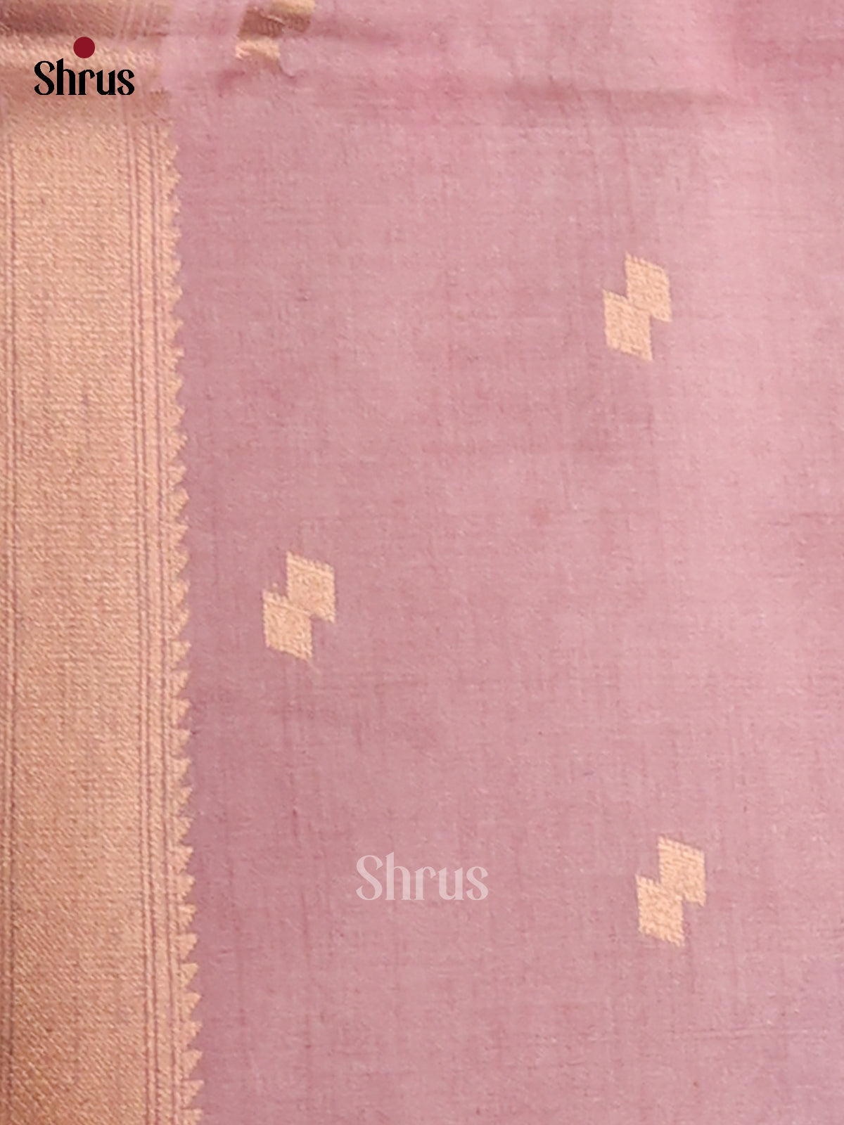 DFS06753 - Semi Tussar Saree - Shop on Shrus.com