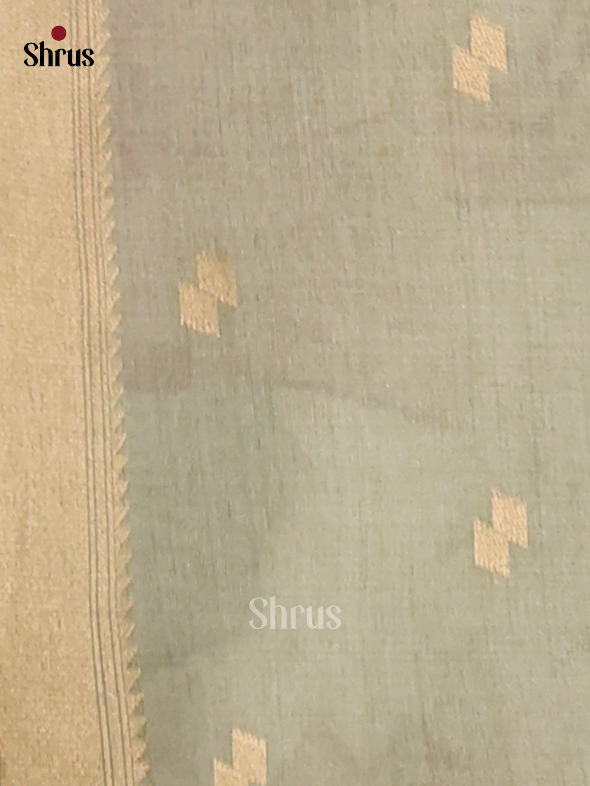 DFS06755 - Semi Tussar Saree - Shop on Shrus.com