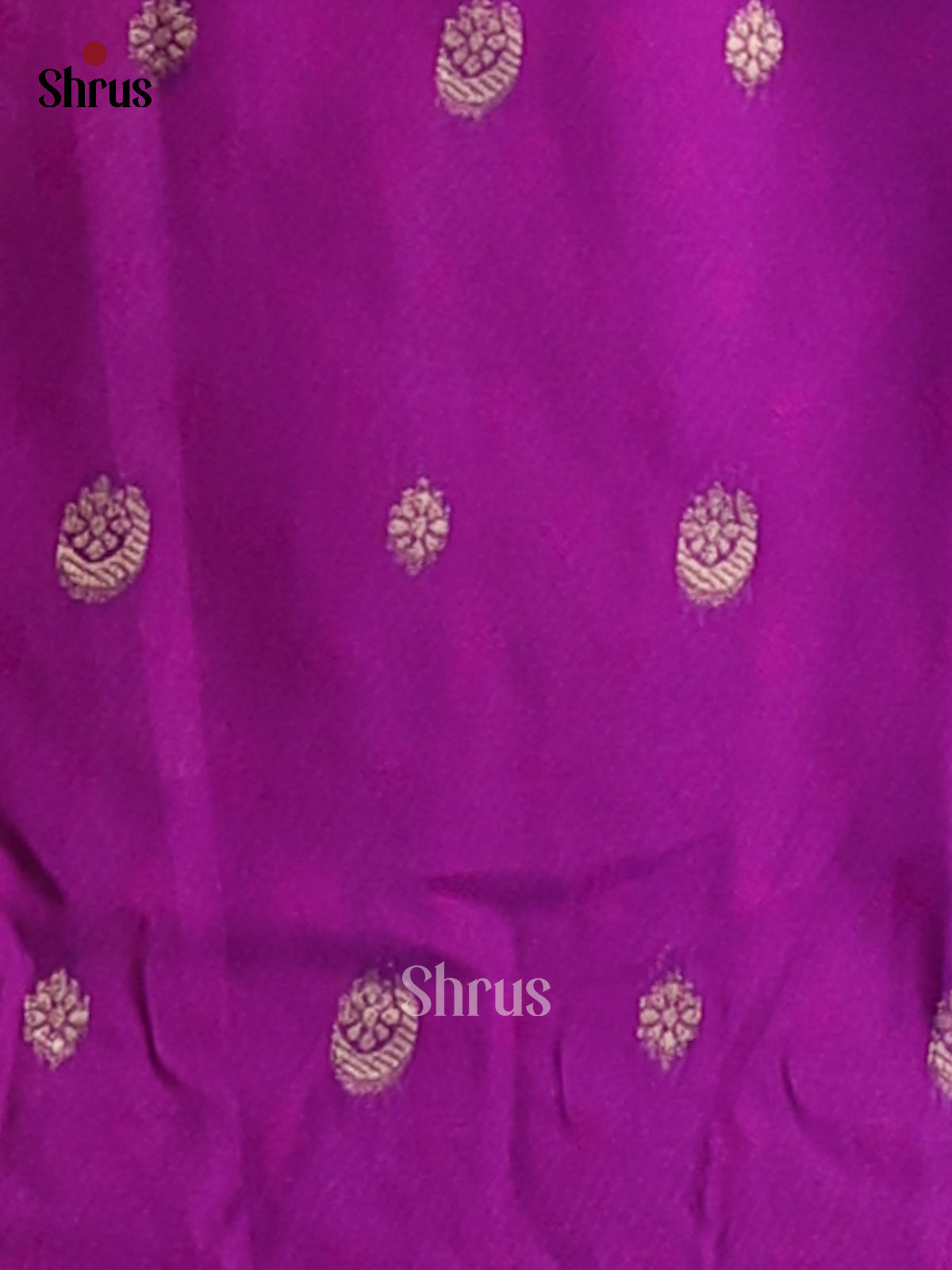 Violet - Semi Softsilk Saree - Shop on Shrus.com