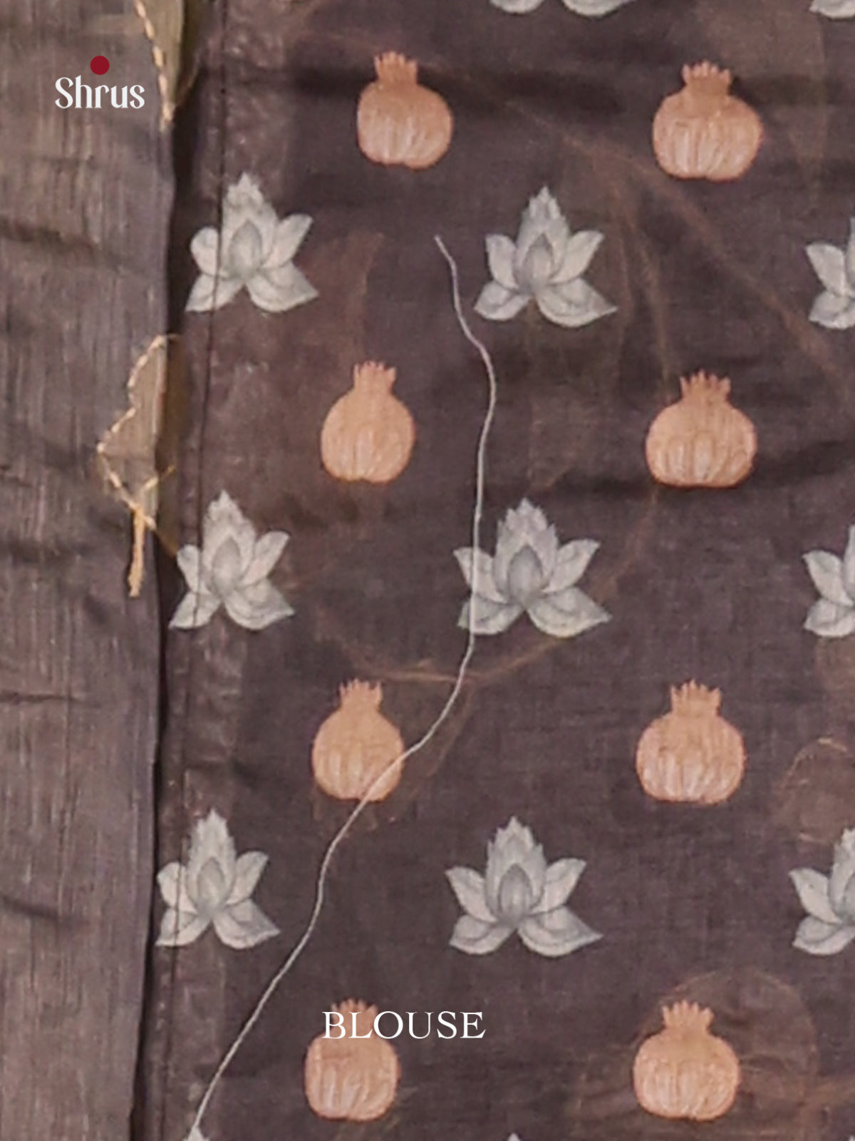 Brown - Semi Kantha Saree