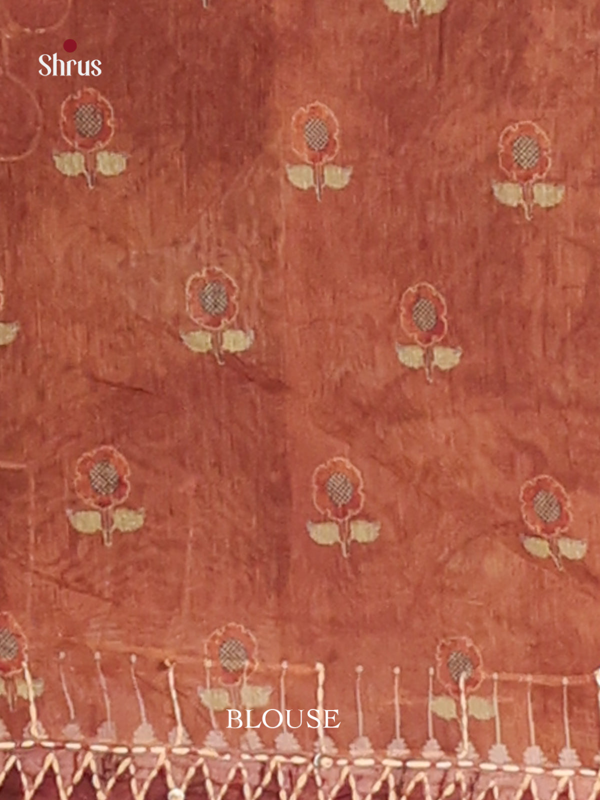 Brown - Semi Kantha Saree