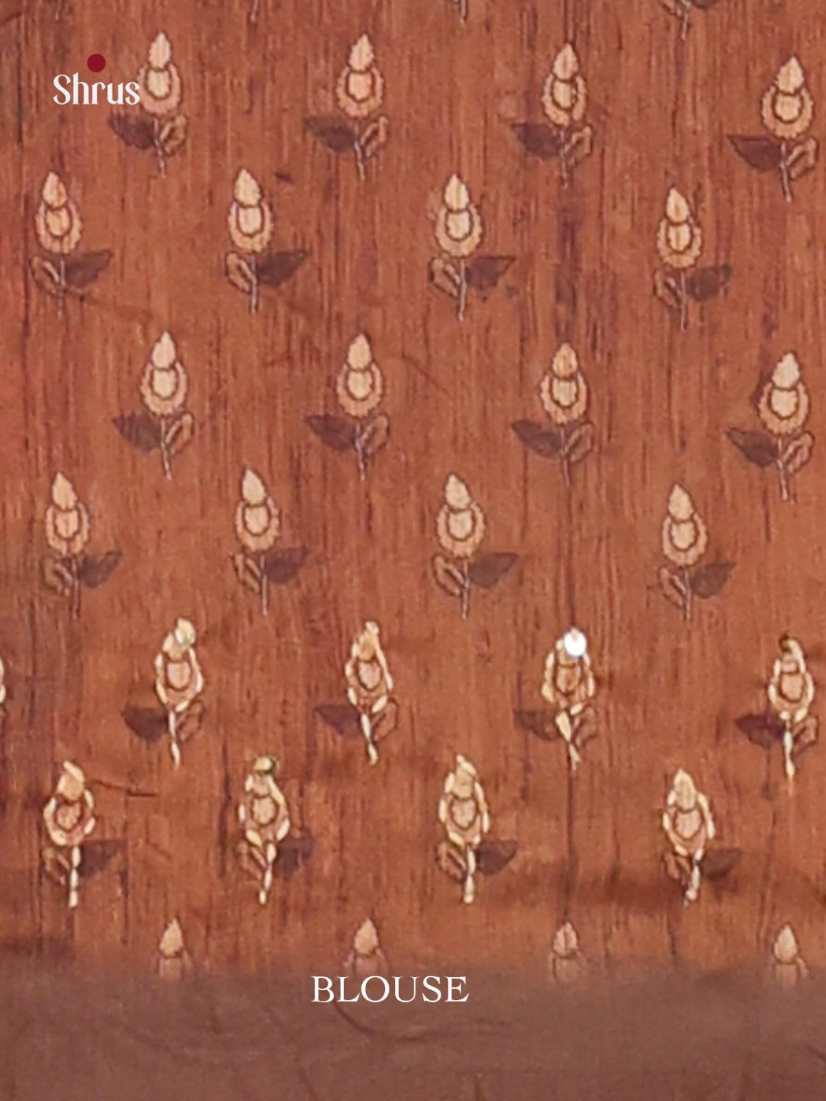 Brown - Semi Kantha Saree