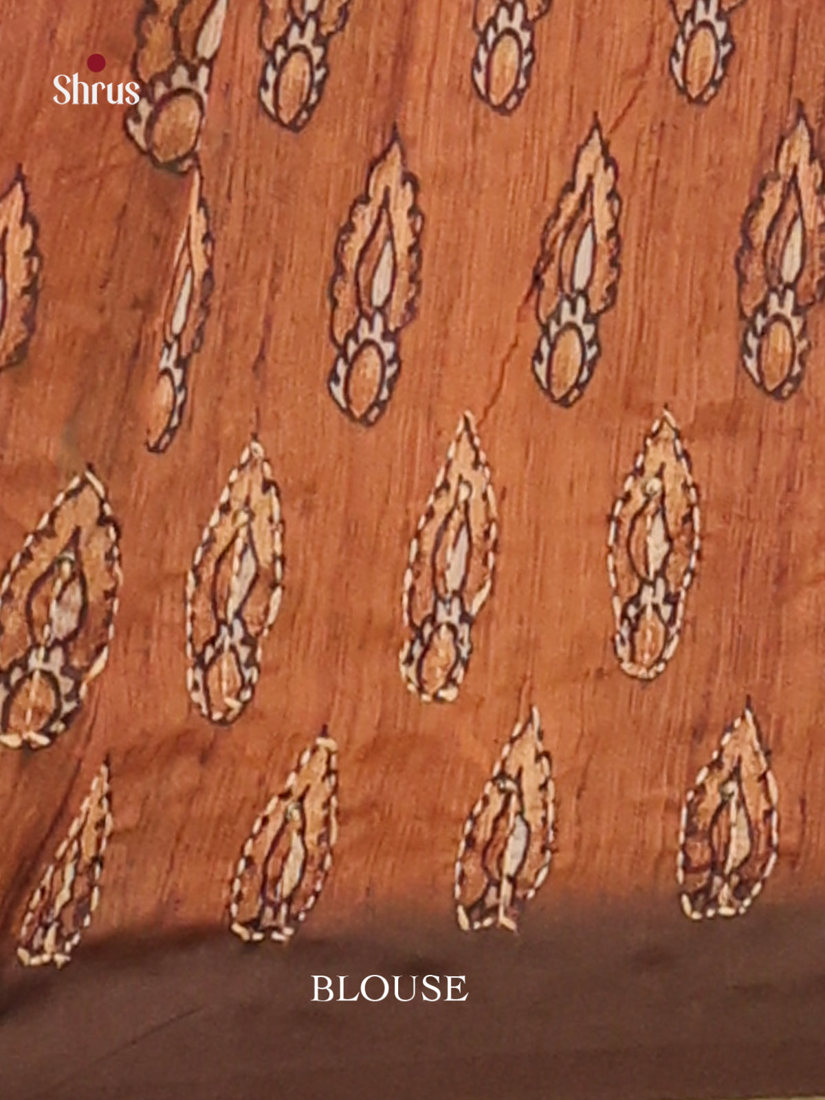 Brown & Red - Semi Kantha Saree