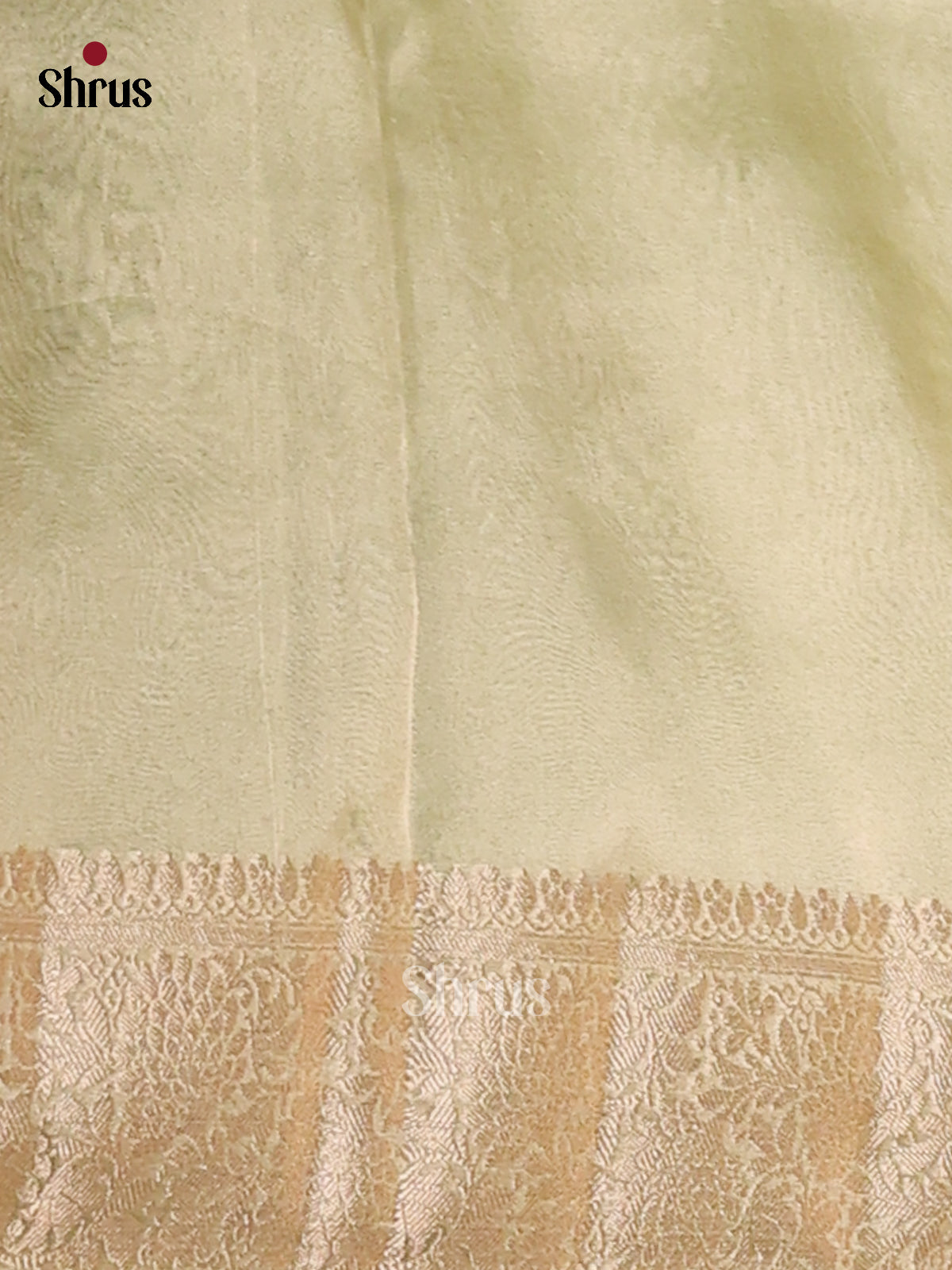 Lite Green - Semi Tissue Saree