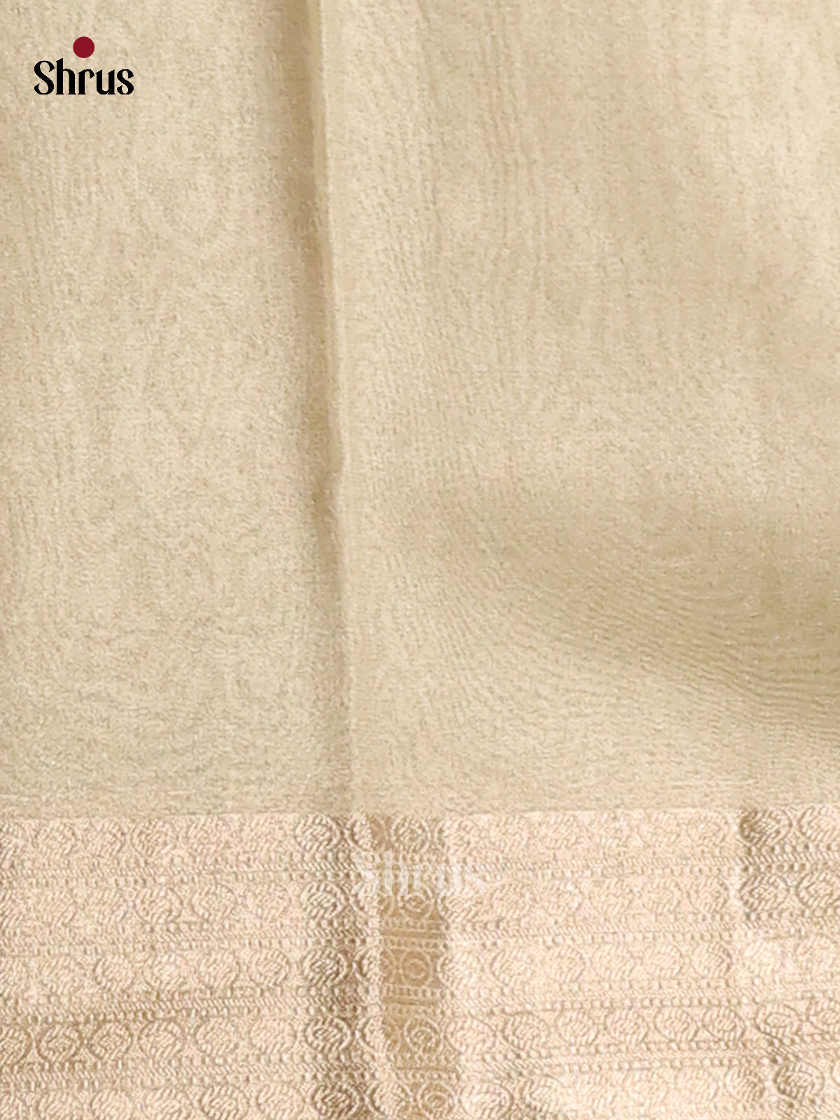 Cream - Semi Tissue Saree
