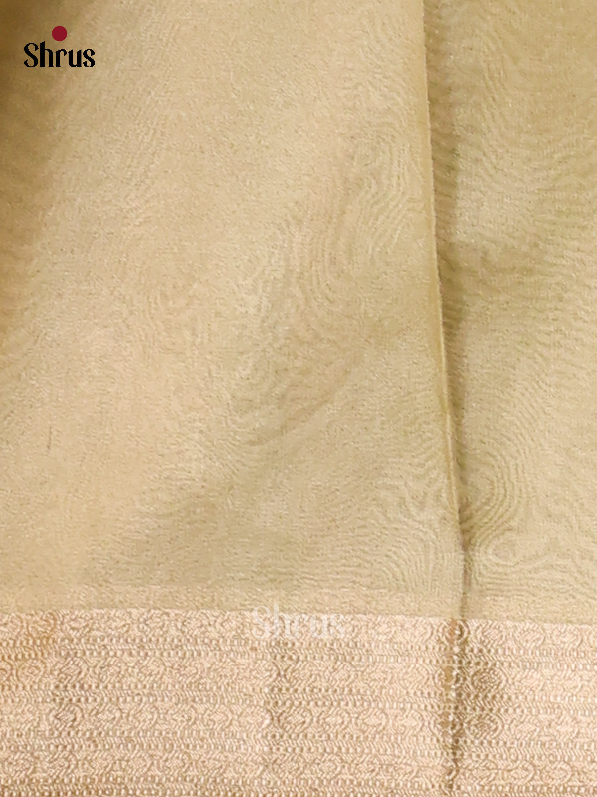 Green - Semi Tissue Saree