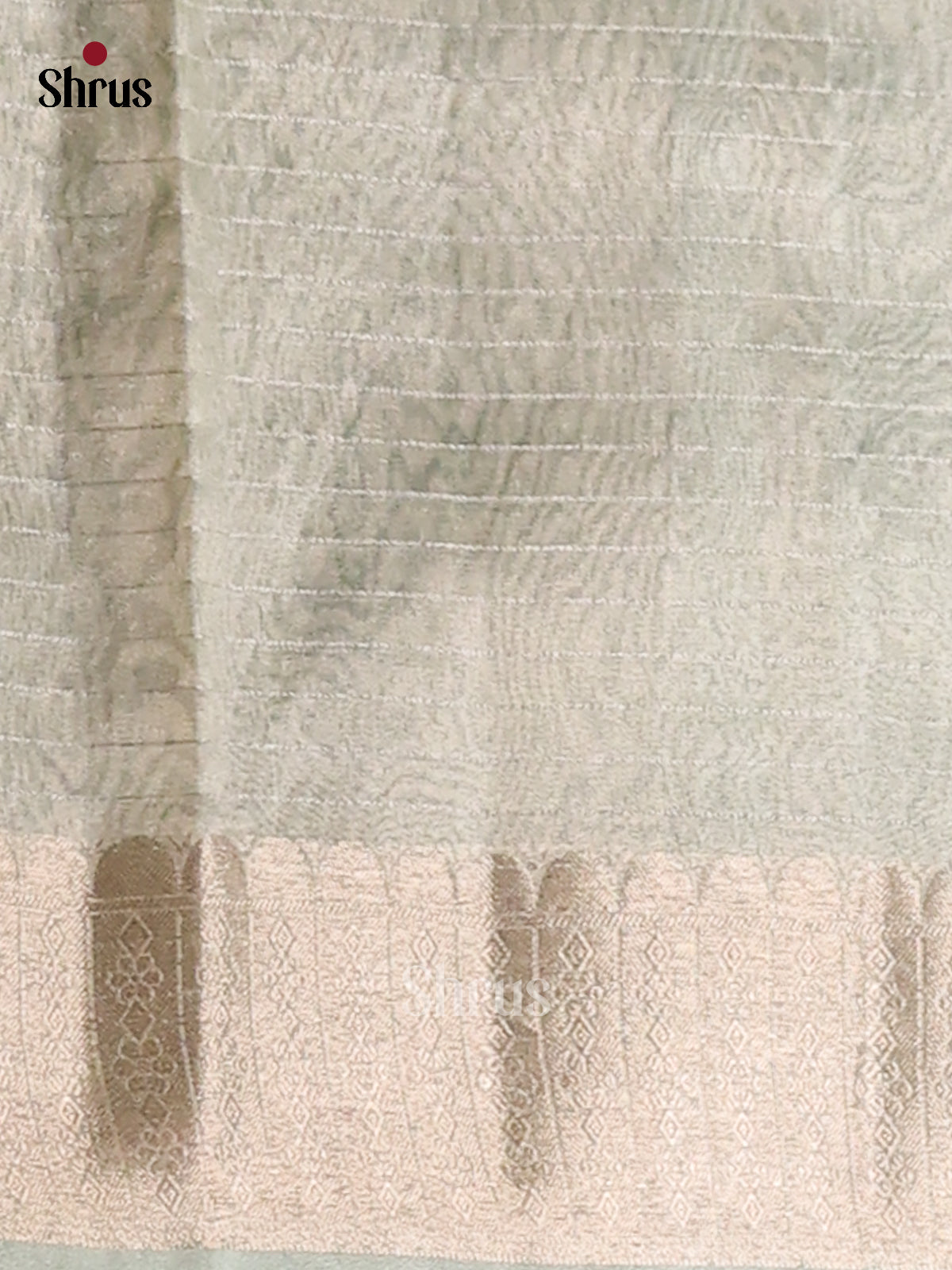 Ice Green - Semi Tissue Saree